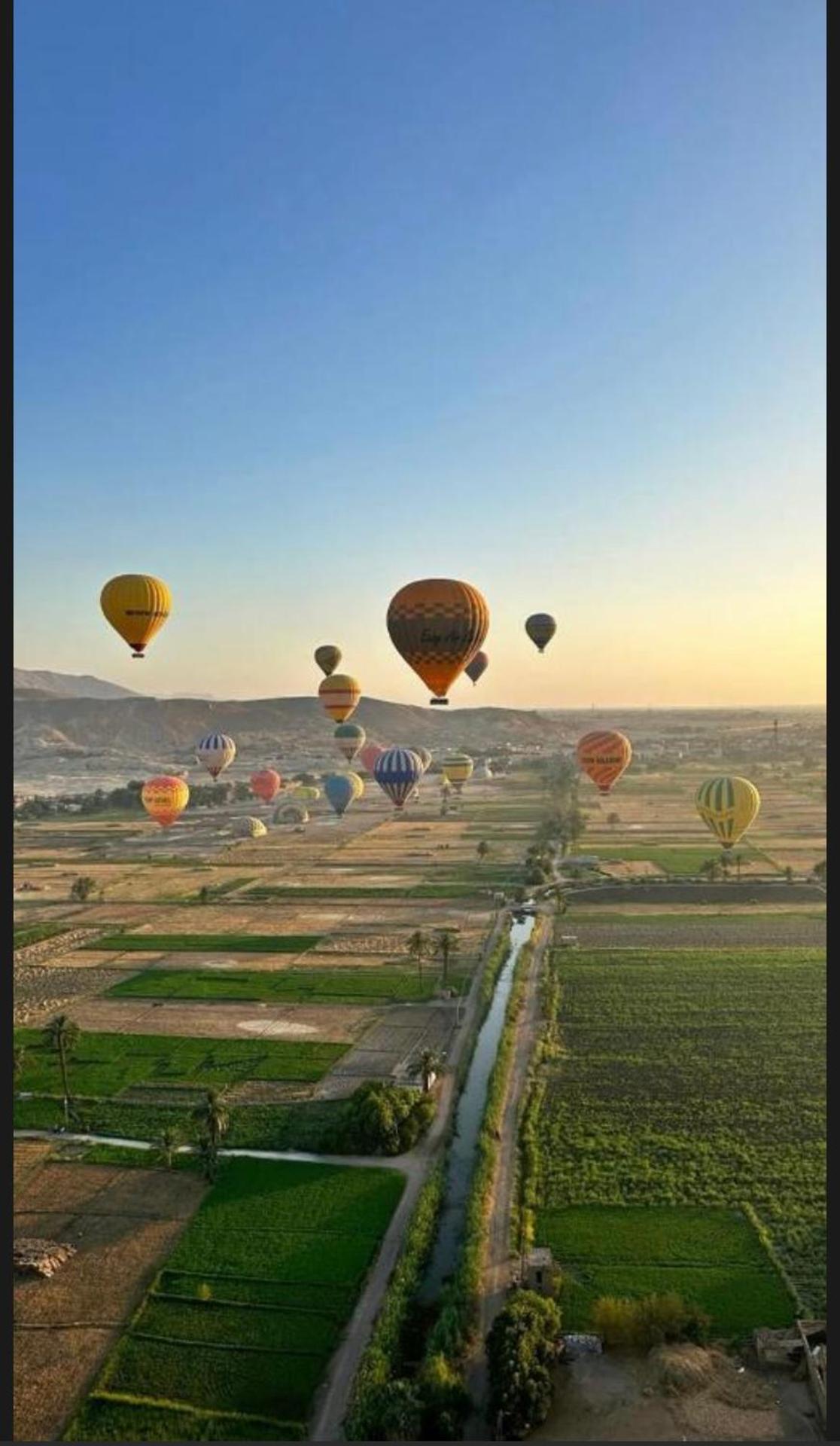 Lyra Pyramids Inn - Photo 20