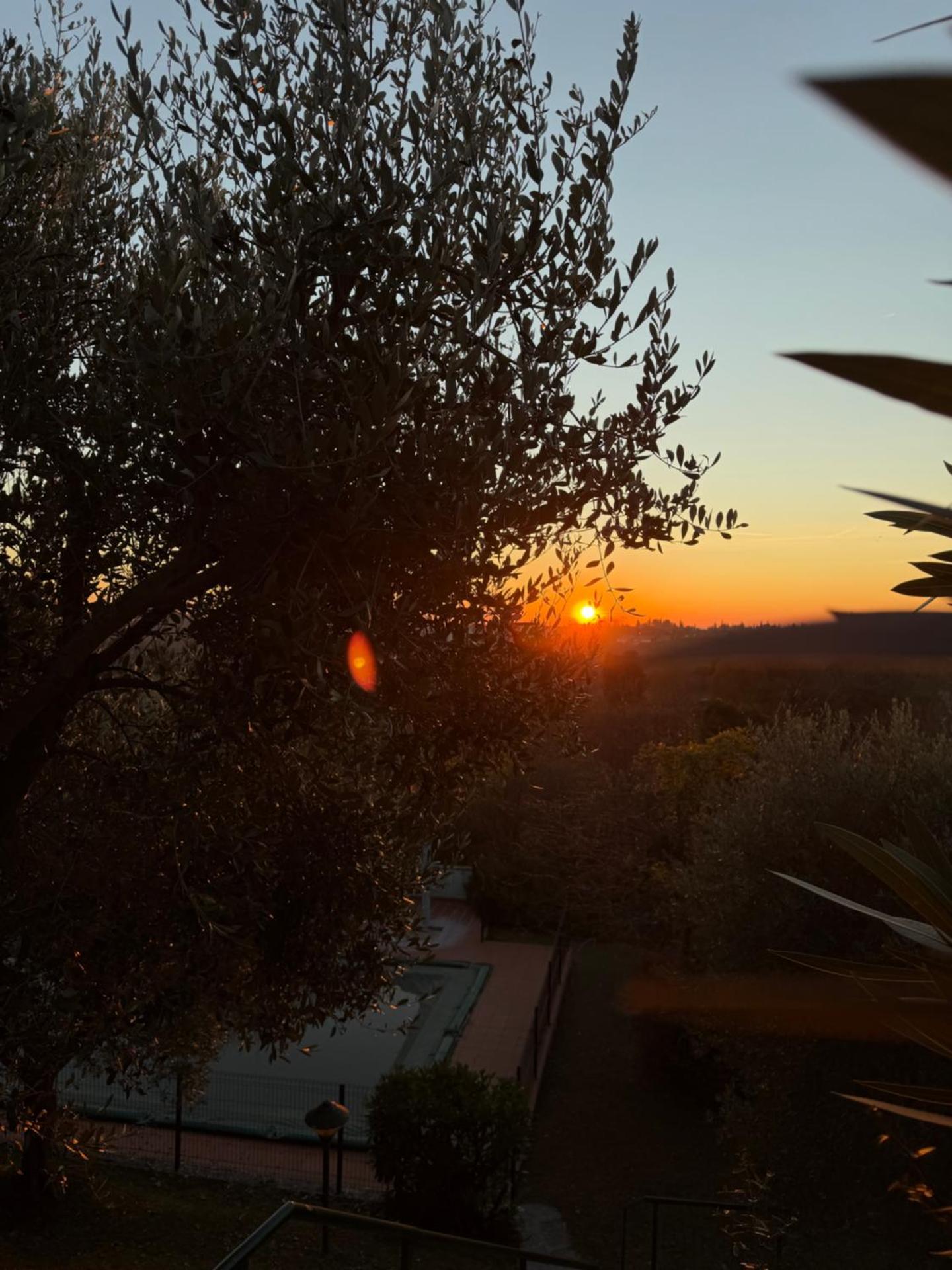 Casa Jeyel - Photo 24