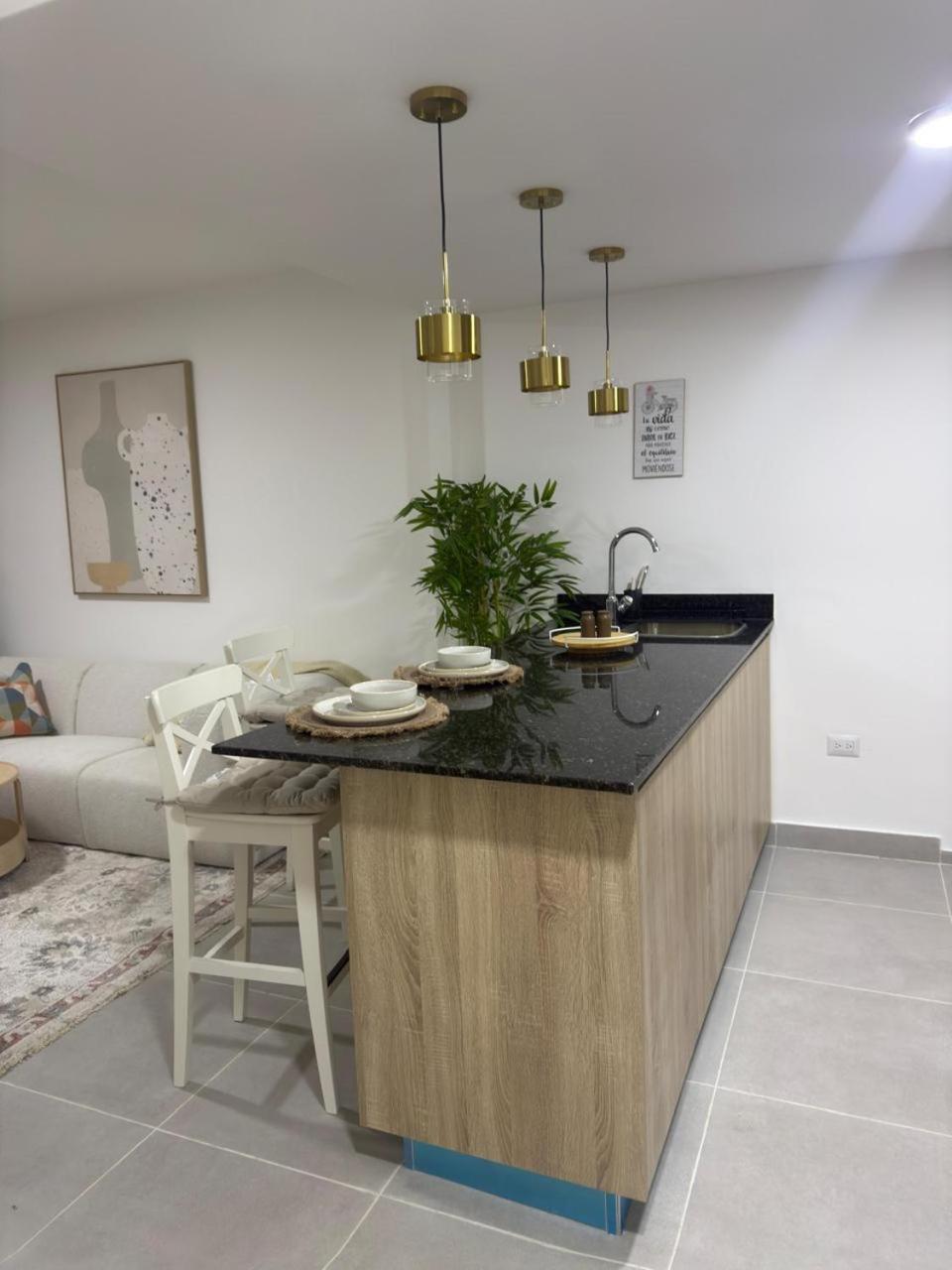 Palmera 402 - Photo 3