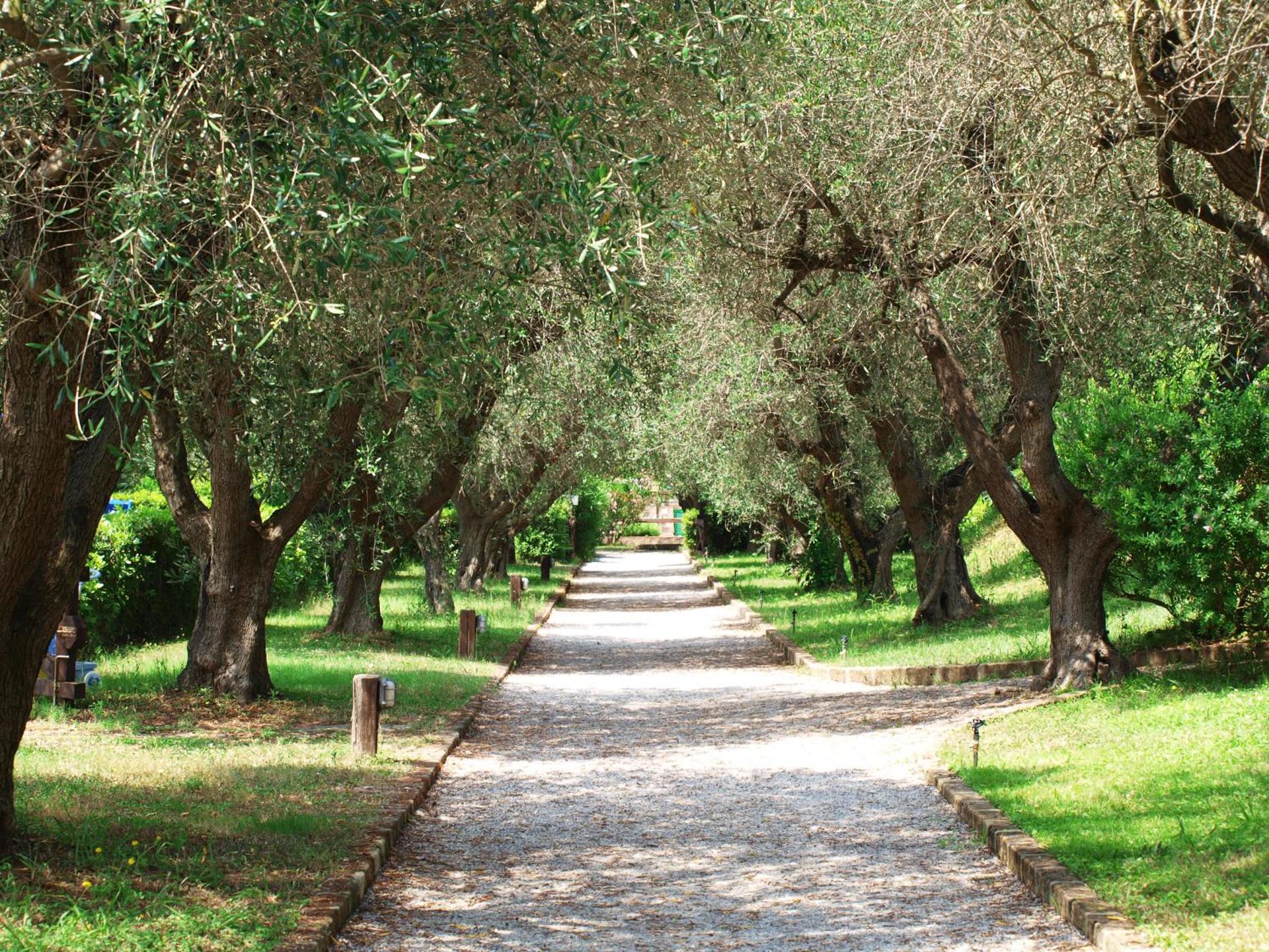 Hotel & Resort Sant'Anna Del Volterraio - Photo 14