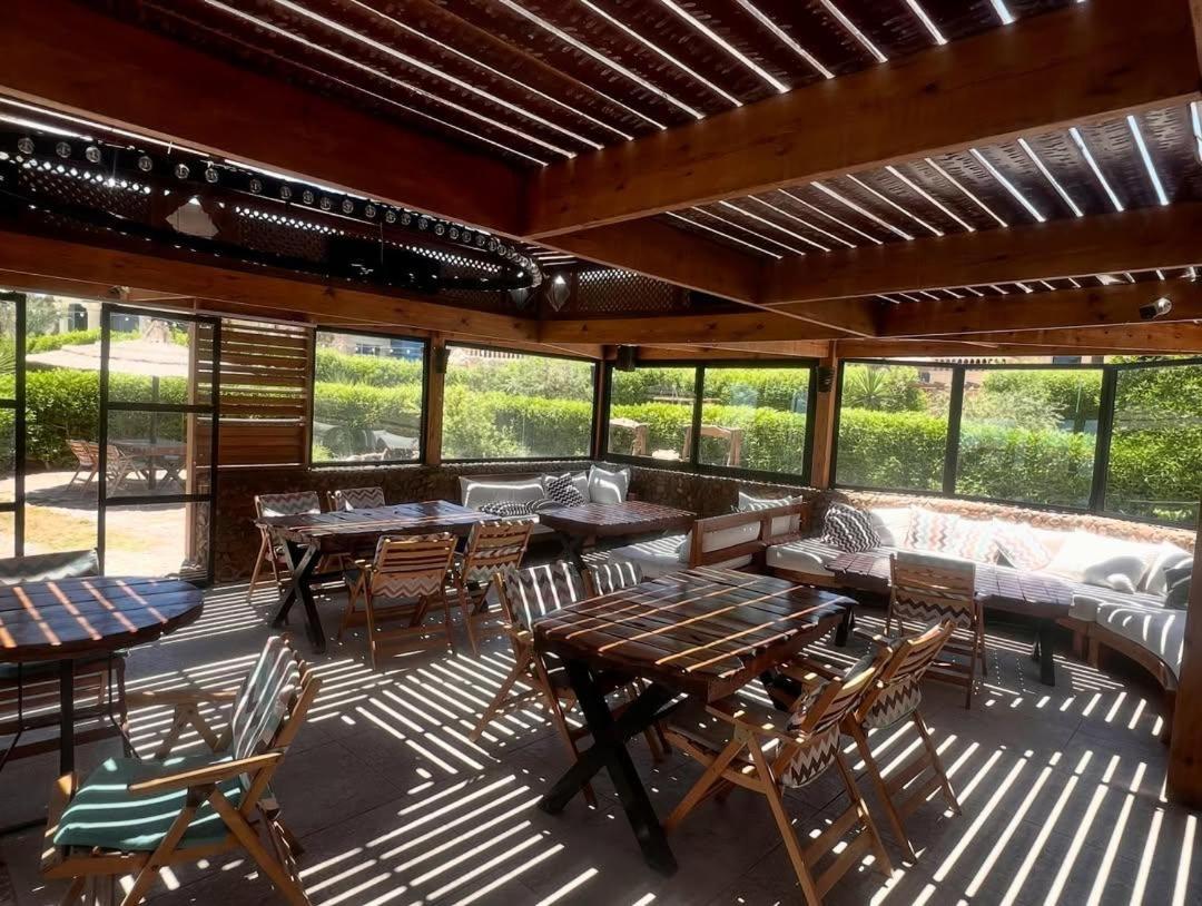 Palma Resort - Photo 28