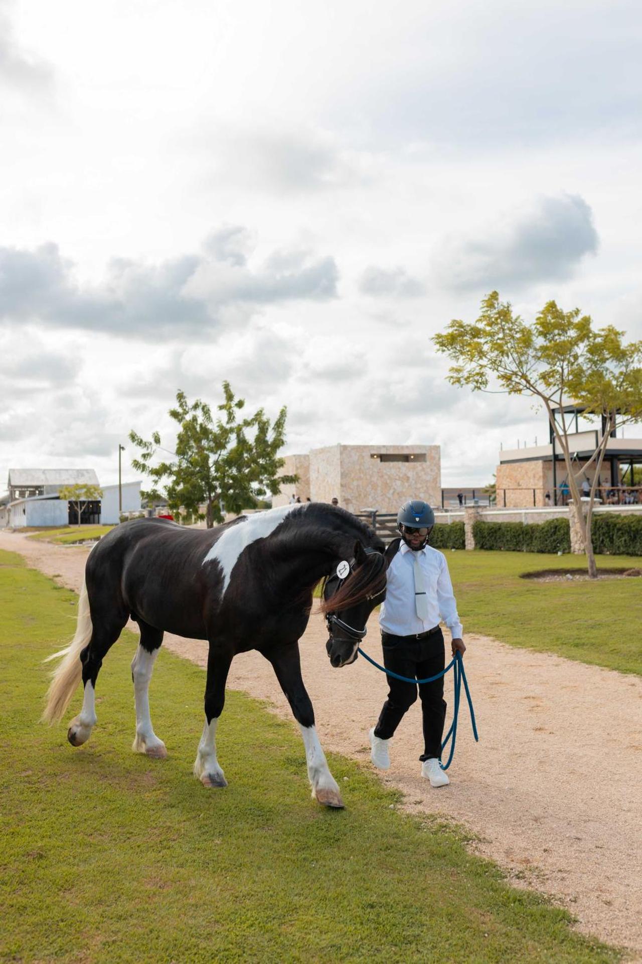 NOK Elegant 2BR Apt by Vistacana - Photo 16