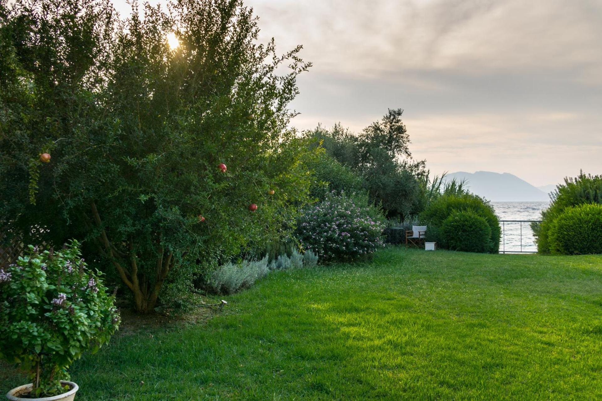 DH Epavlis - Photo 27