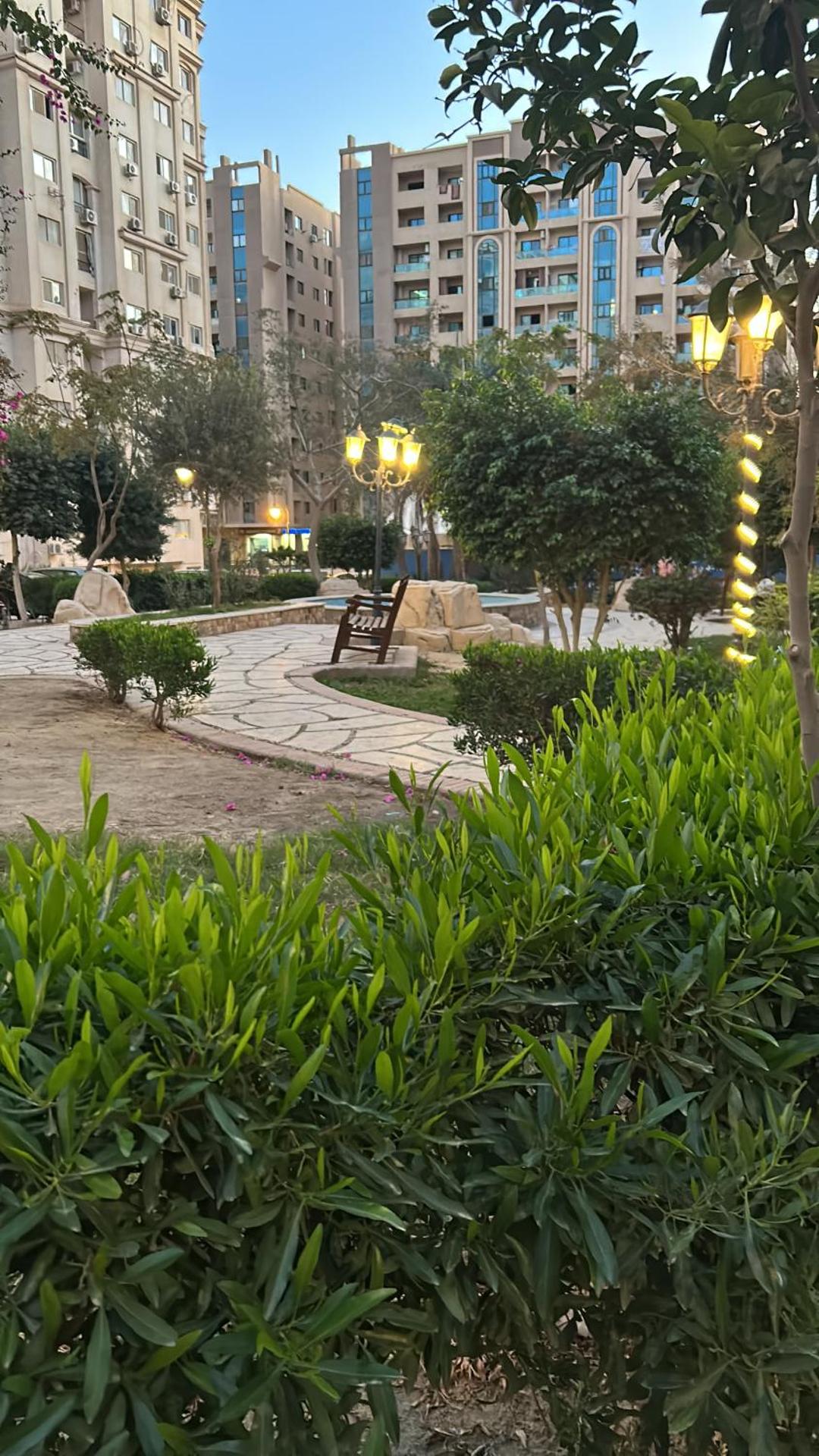 Cozy room in Cairo - Photo 13