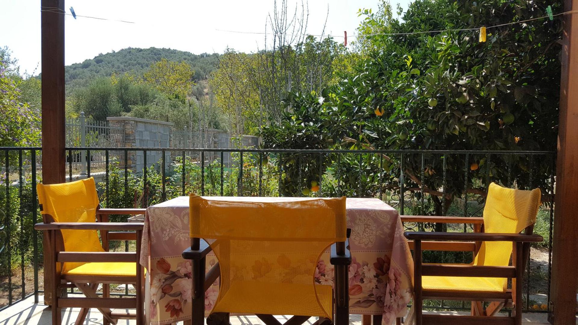 Rafaela House - Photo 37