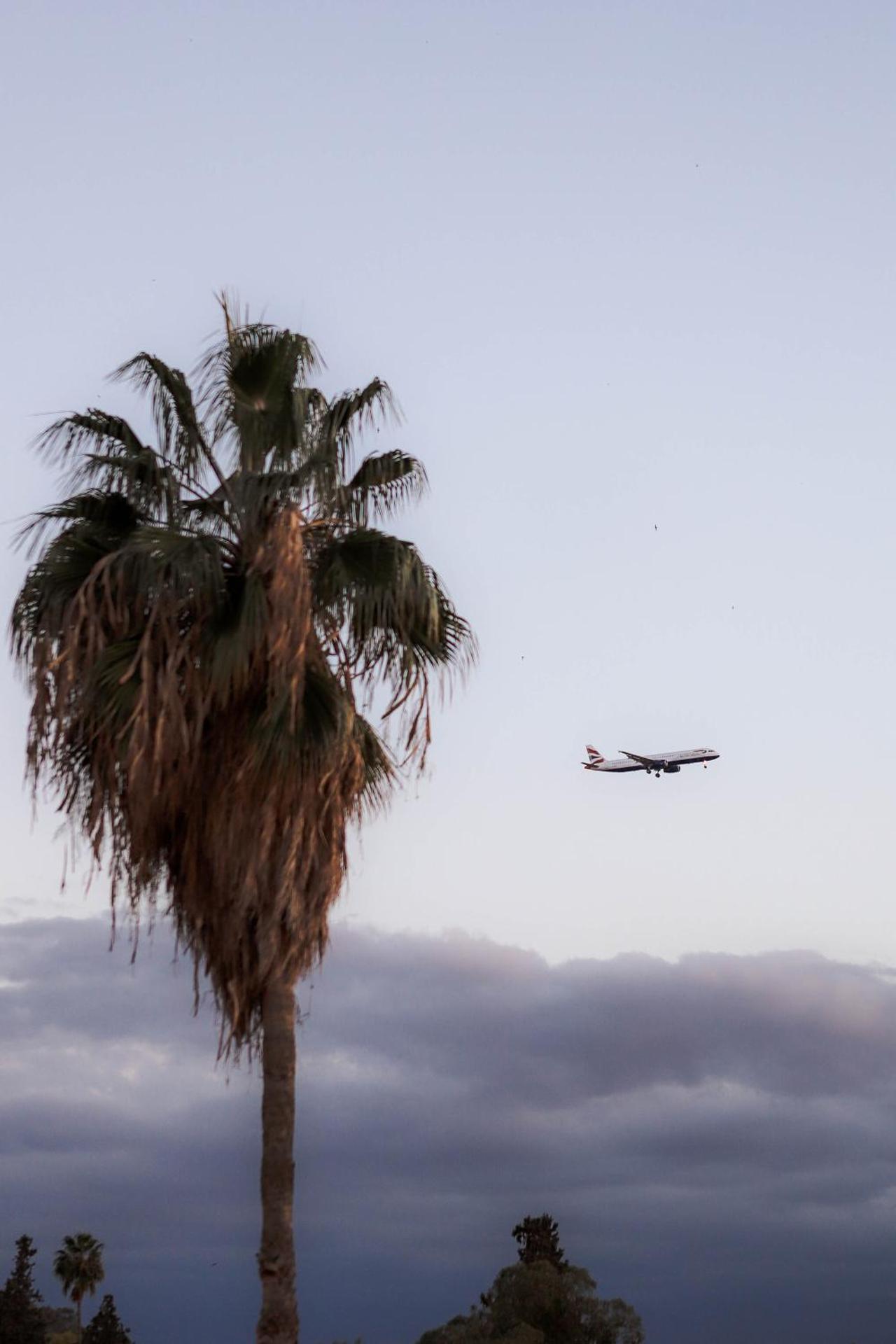 Riad Ajebel - Photo 112