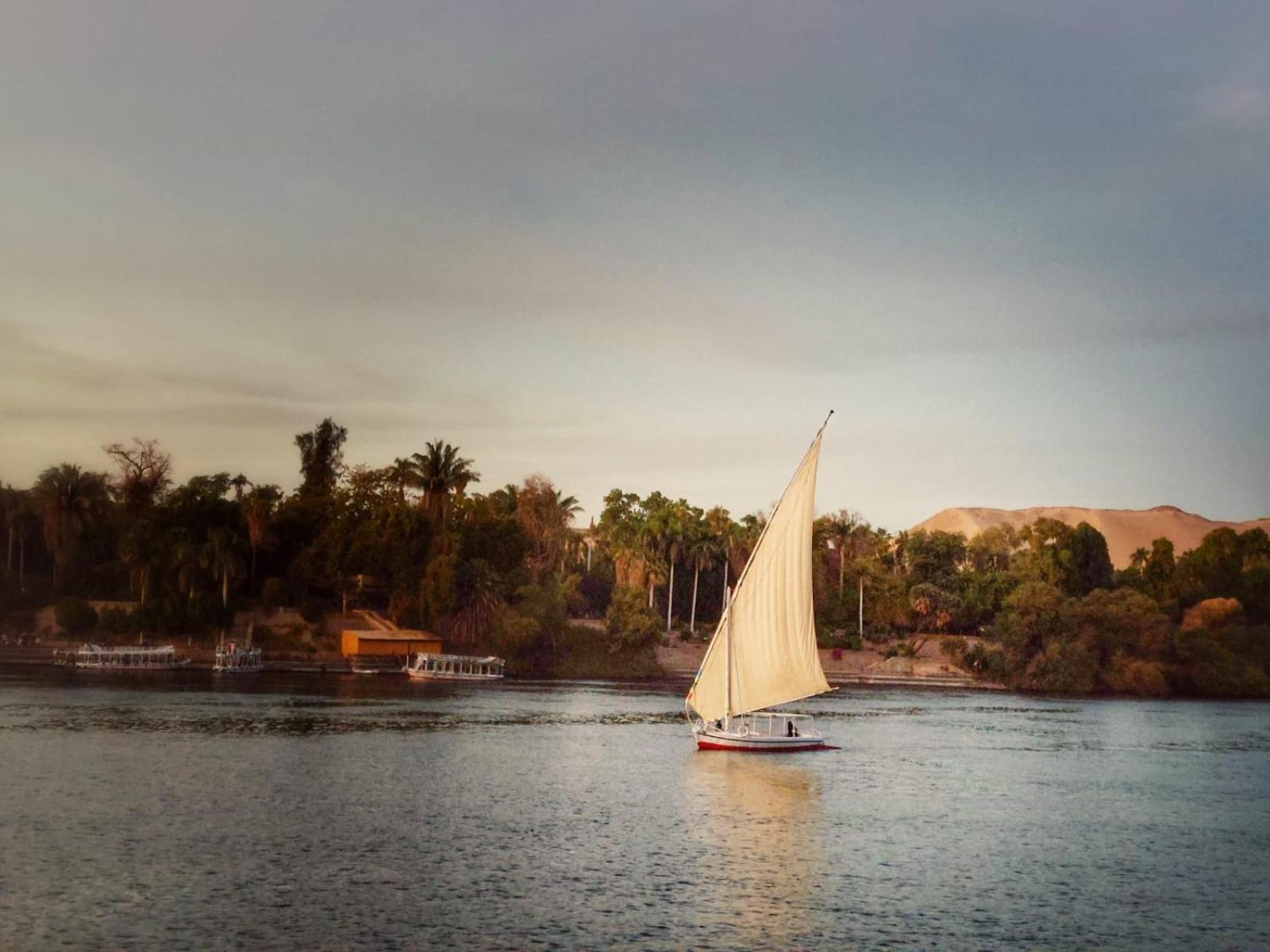 Rayan Nubian Guest House - Photo 74