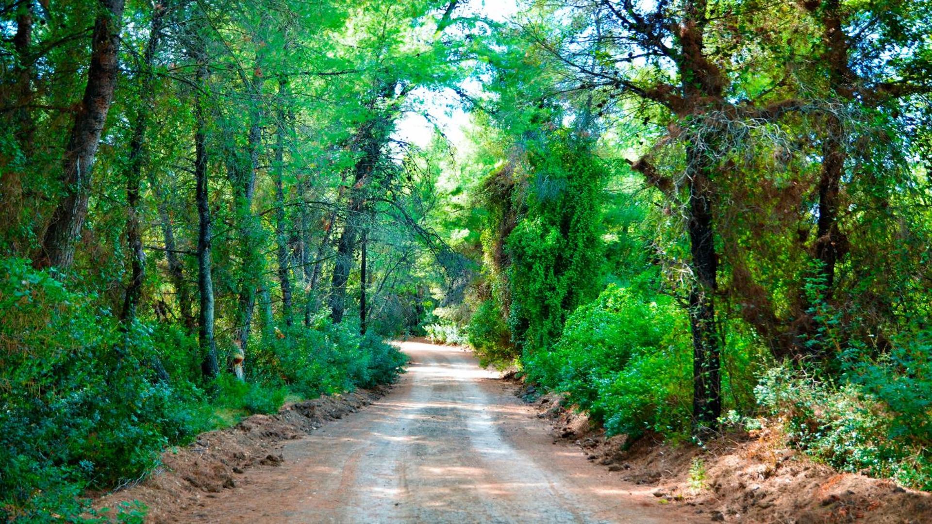 Akrogiali Exclusive Hotel (Adults Only) - Photo 68