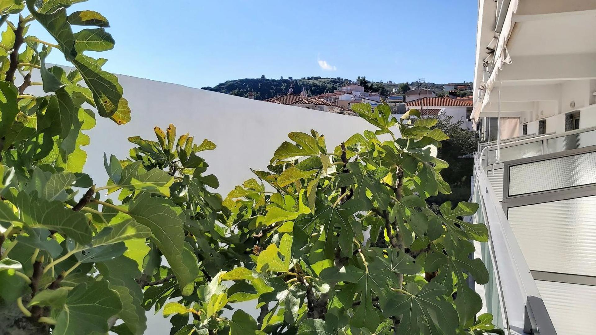 Akrogiali Exclusive Hotel (Adults Only) - Photo 27