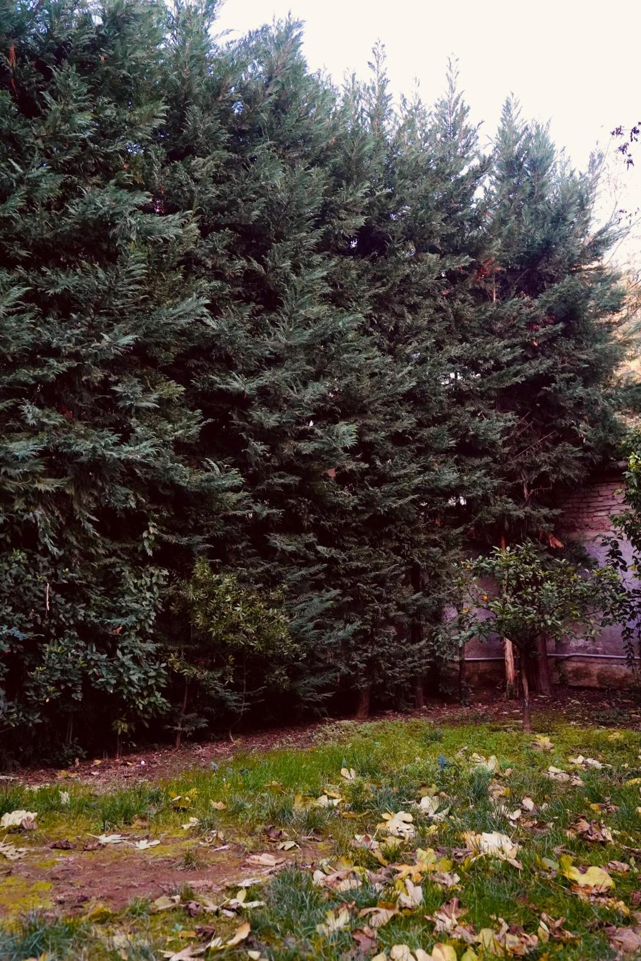 Hortus Hotel Tirana - Photo 123