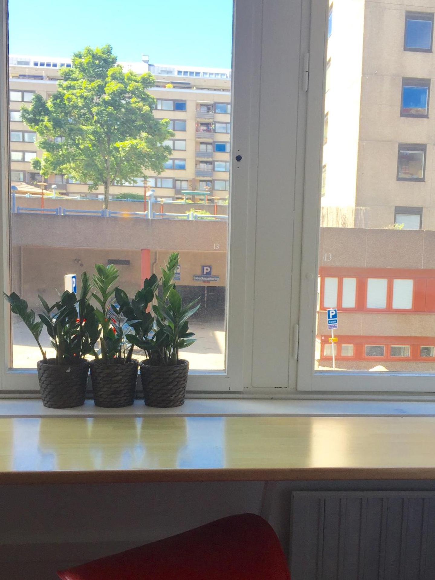 Linné Hostel - Photo 27