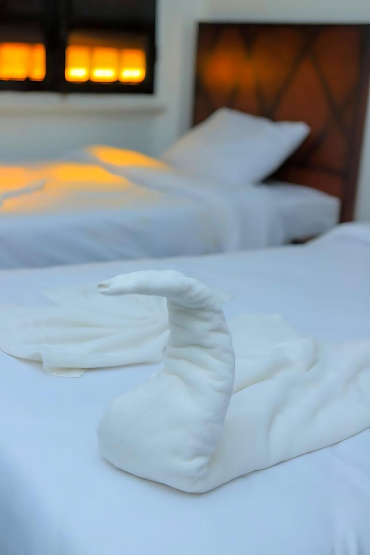 Kings Palace - Photo 29