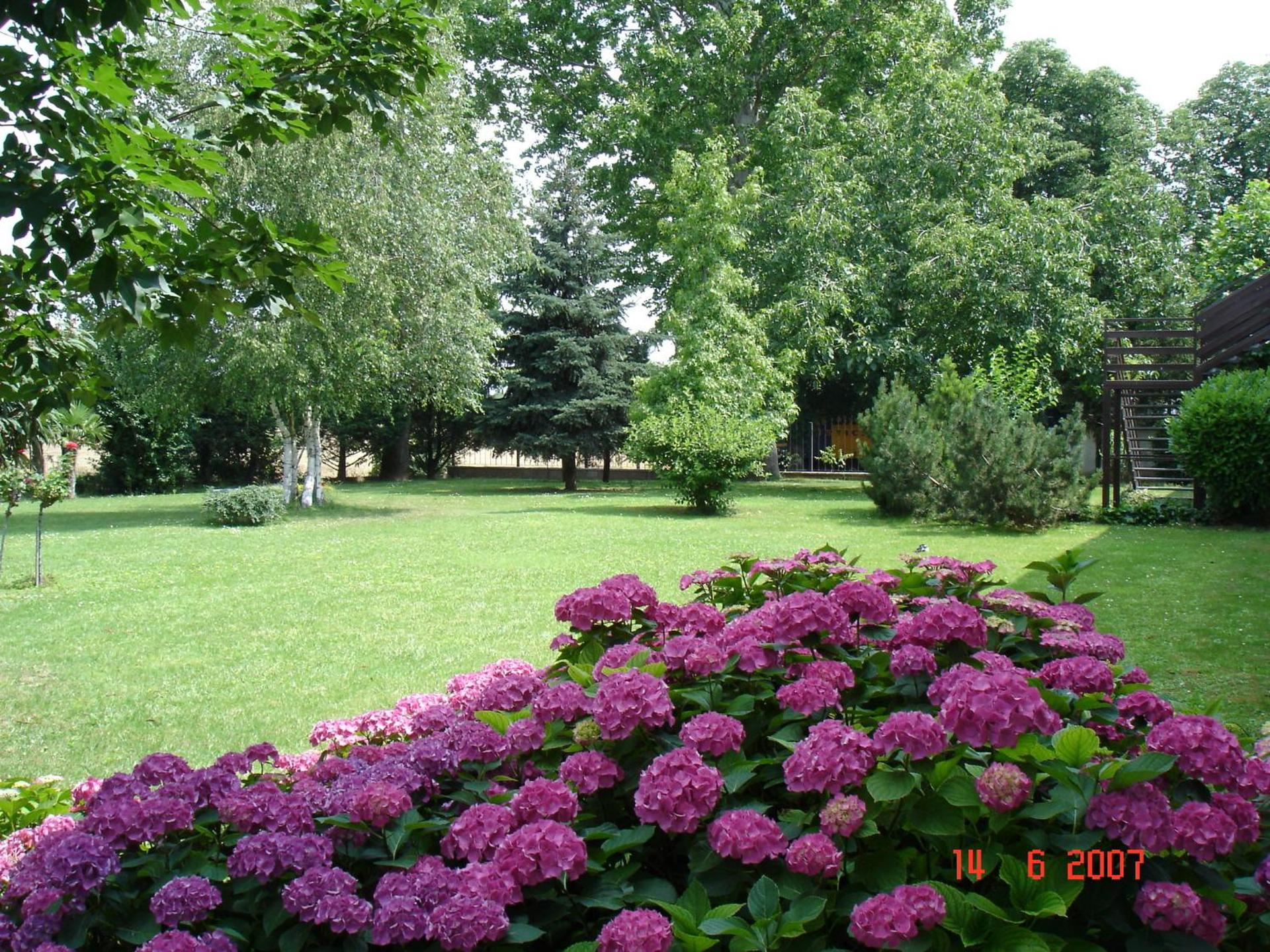 Il Carrettino Country Hotel - Photo 15