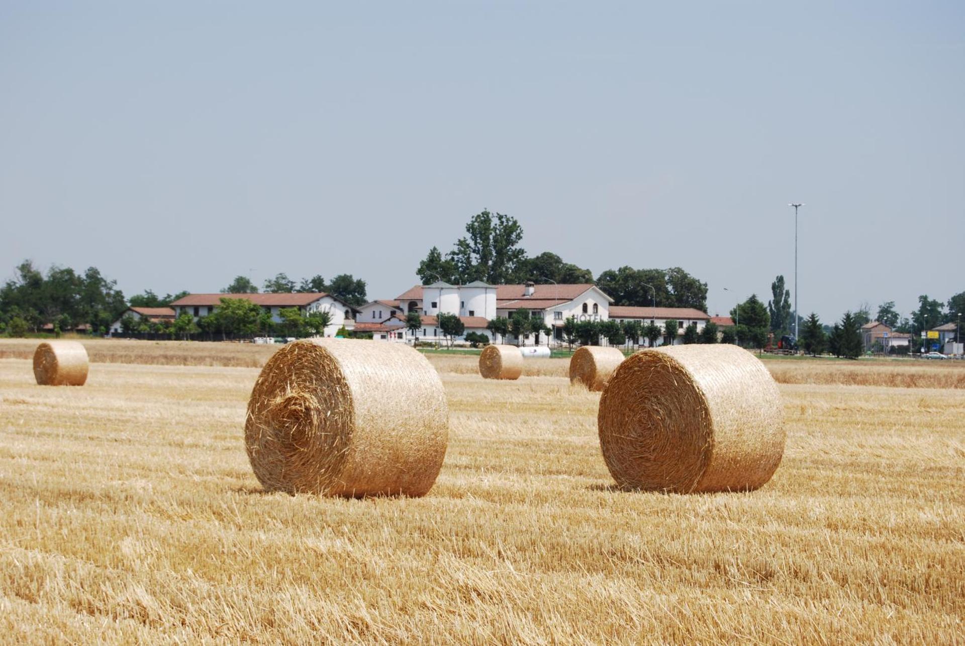 Il Carrettino Country Hotel - Photo 18