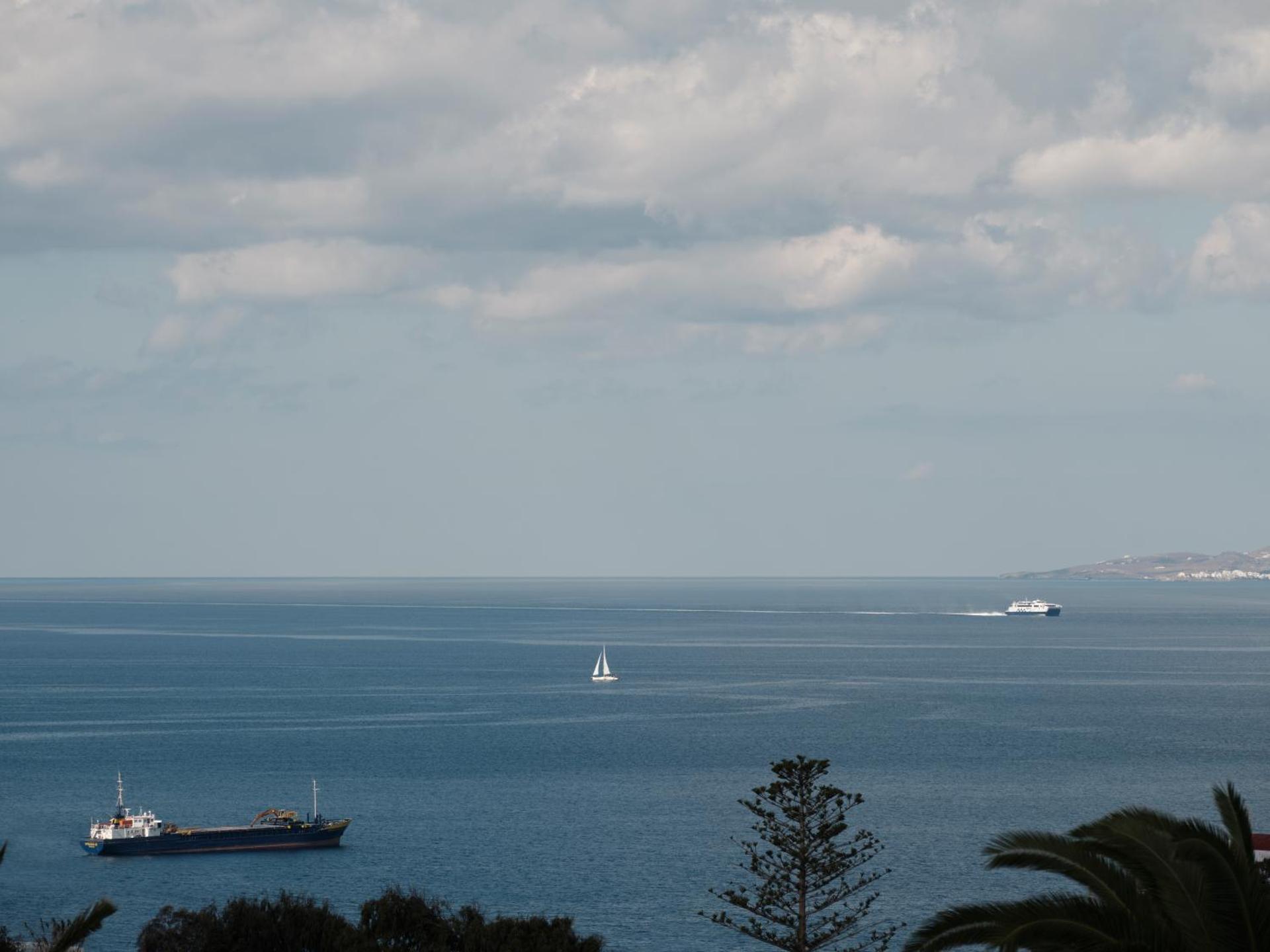 Andronikos Hotel - Photo 108