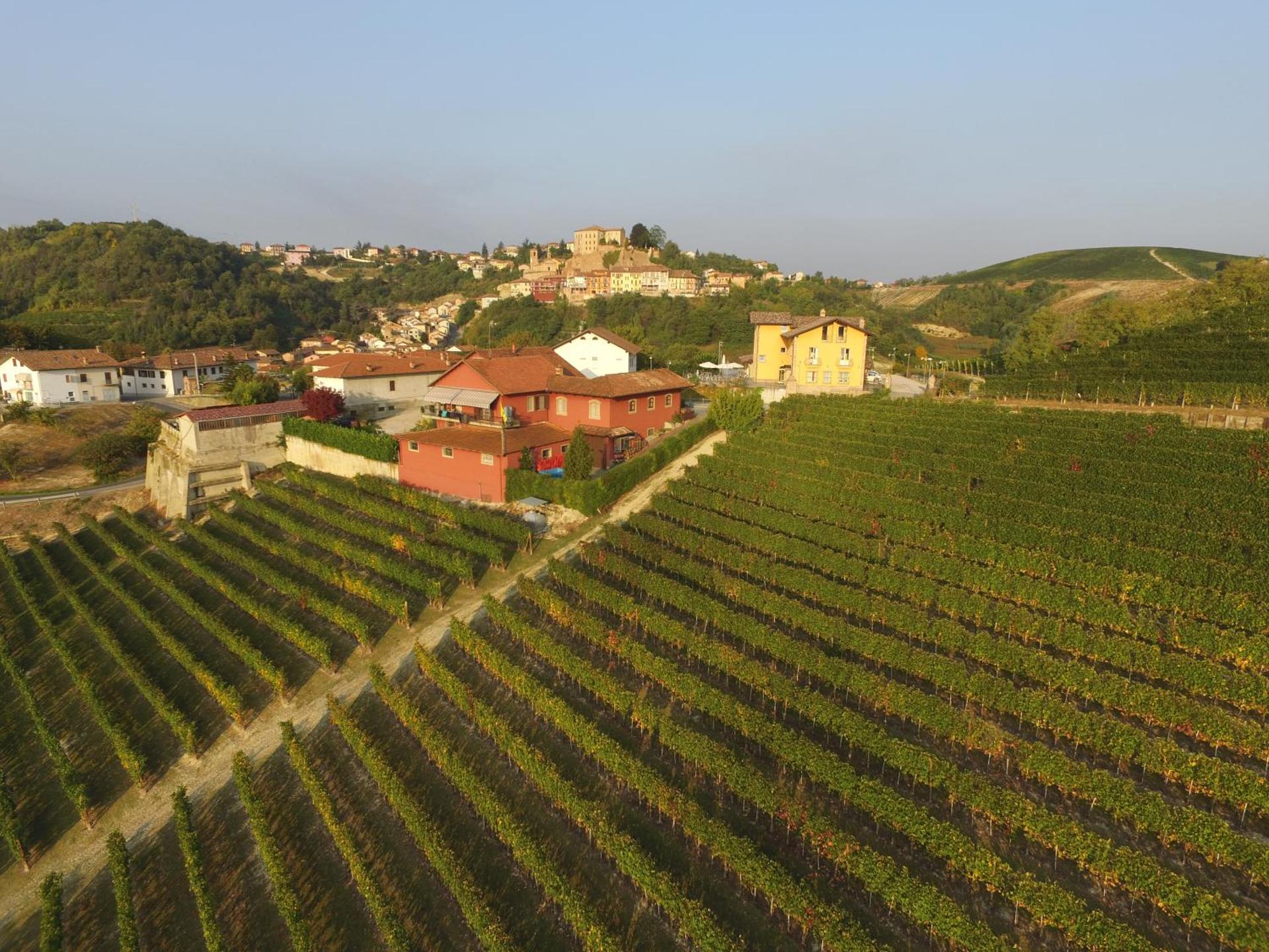 Mongalletto - Photo 28