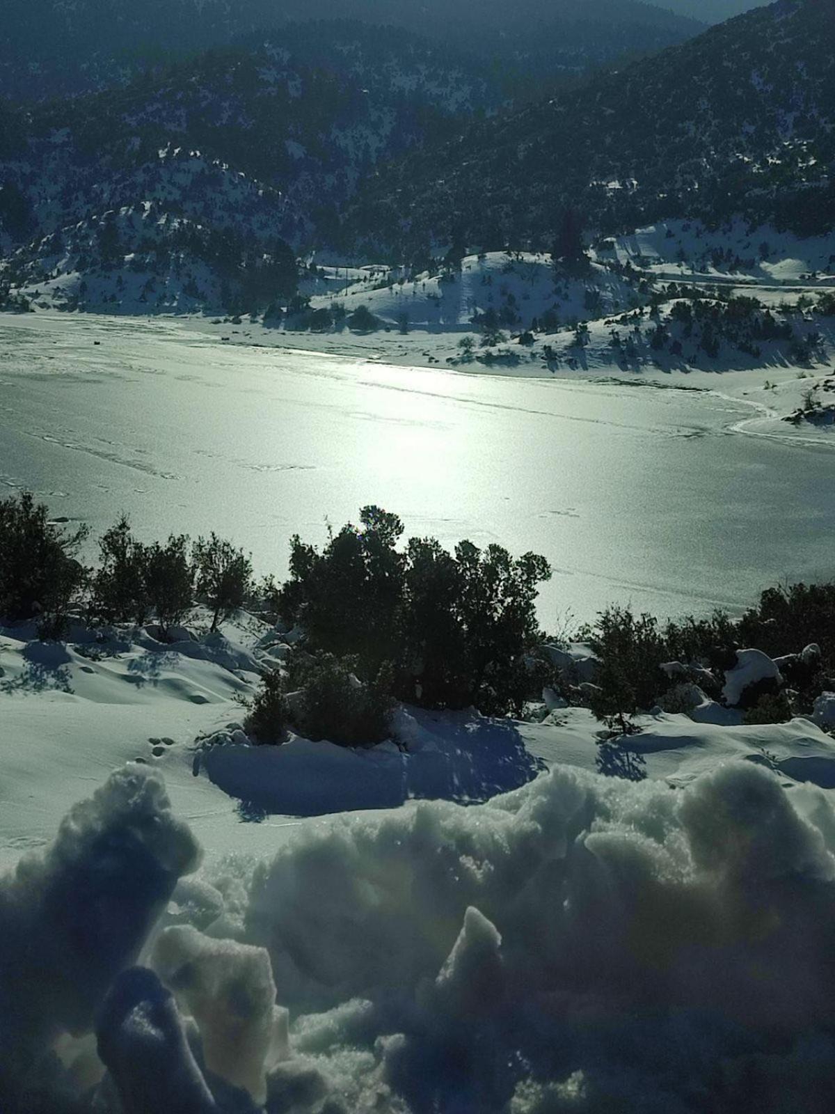 Ξενώνας Αγανίππη - Photo 83