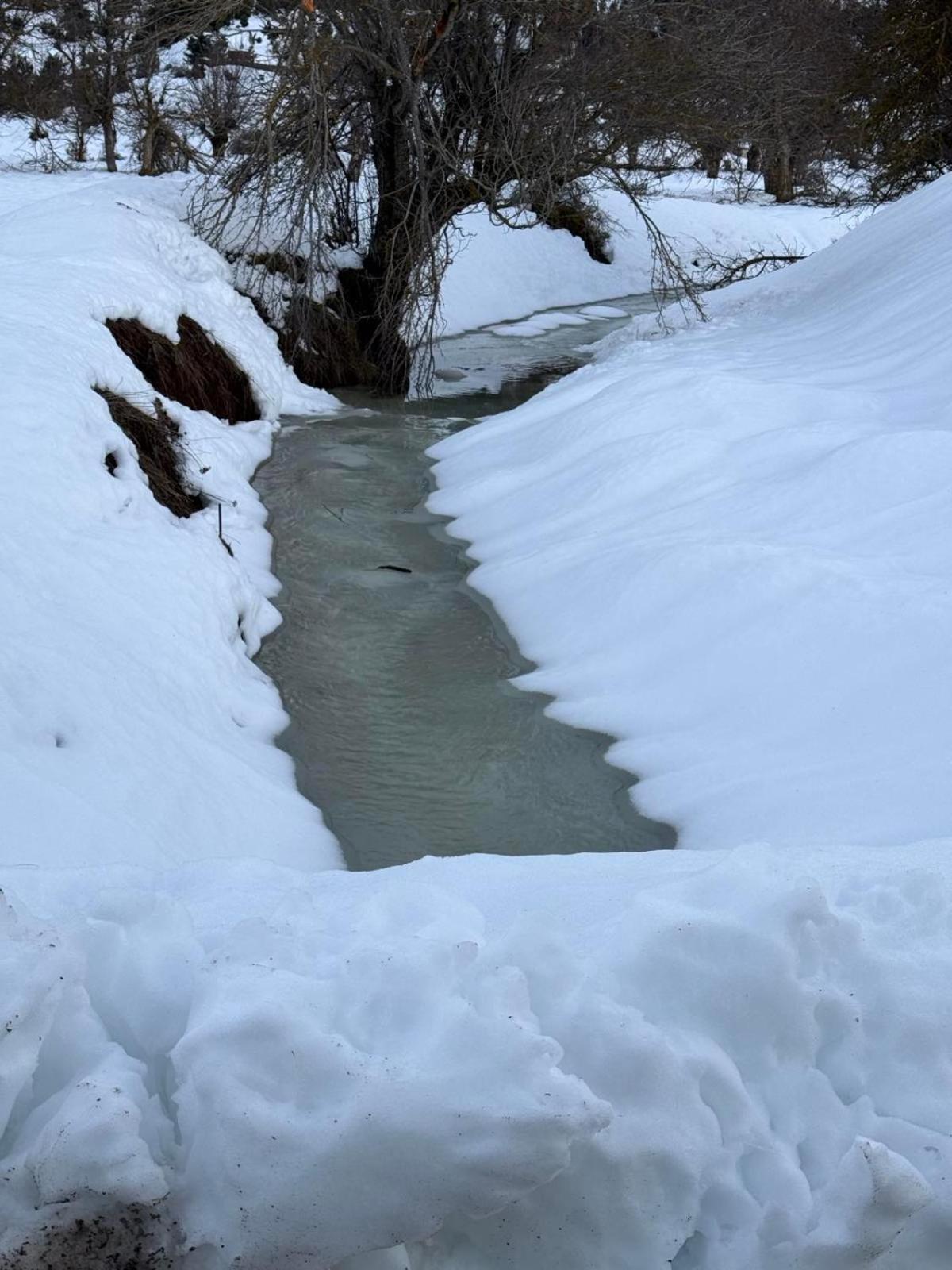 Ξενώνας Αγανίππη - Photo 81