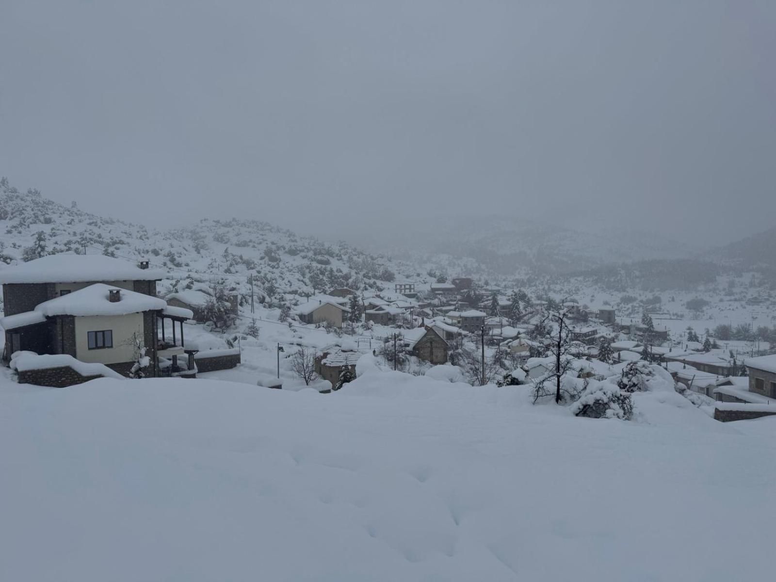 Ξενώνας Αγανίππη - Photo 82