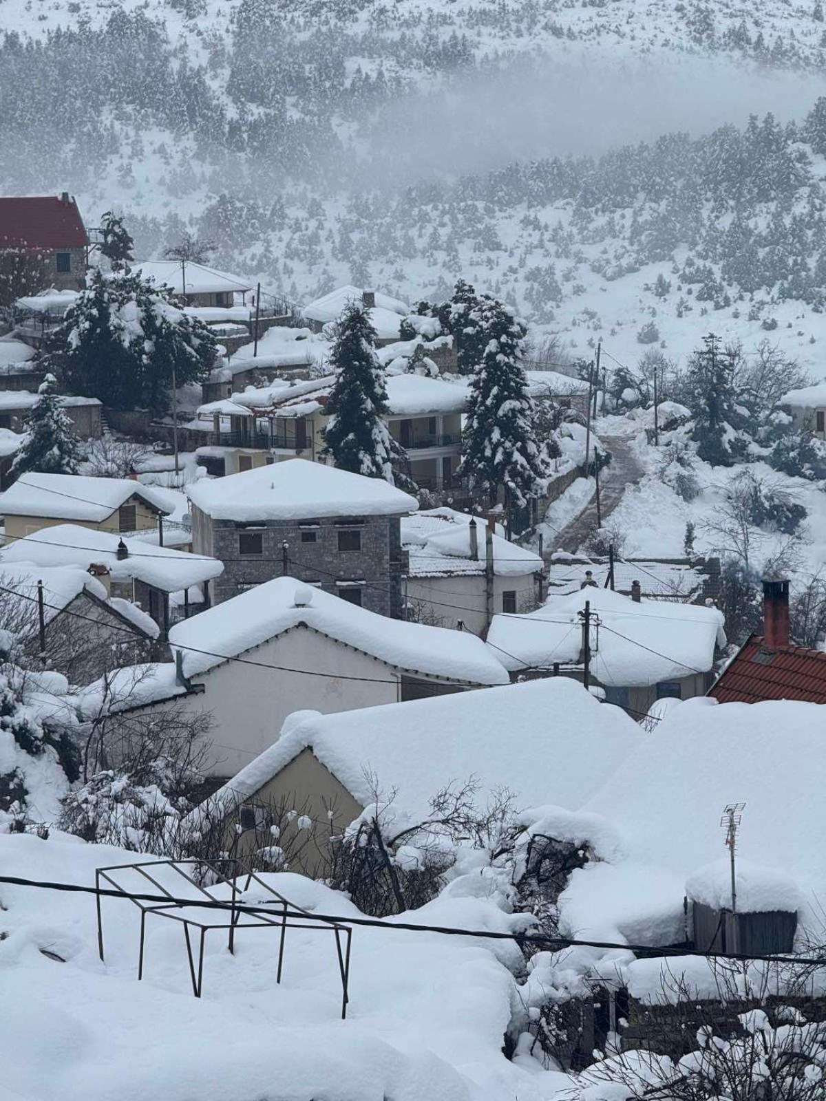 Ξενώνας Αγανίππη - Photo 80