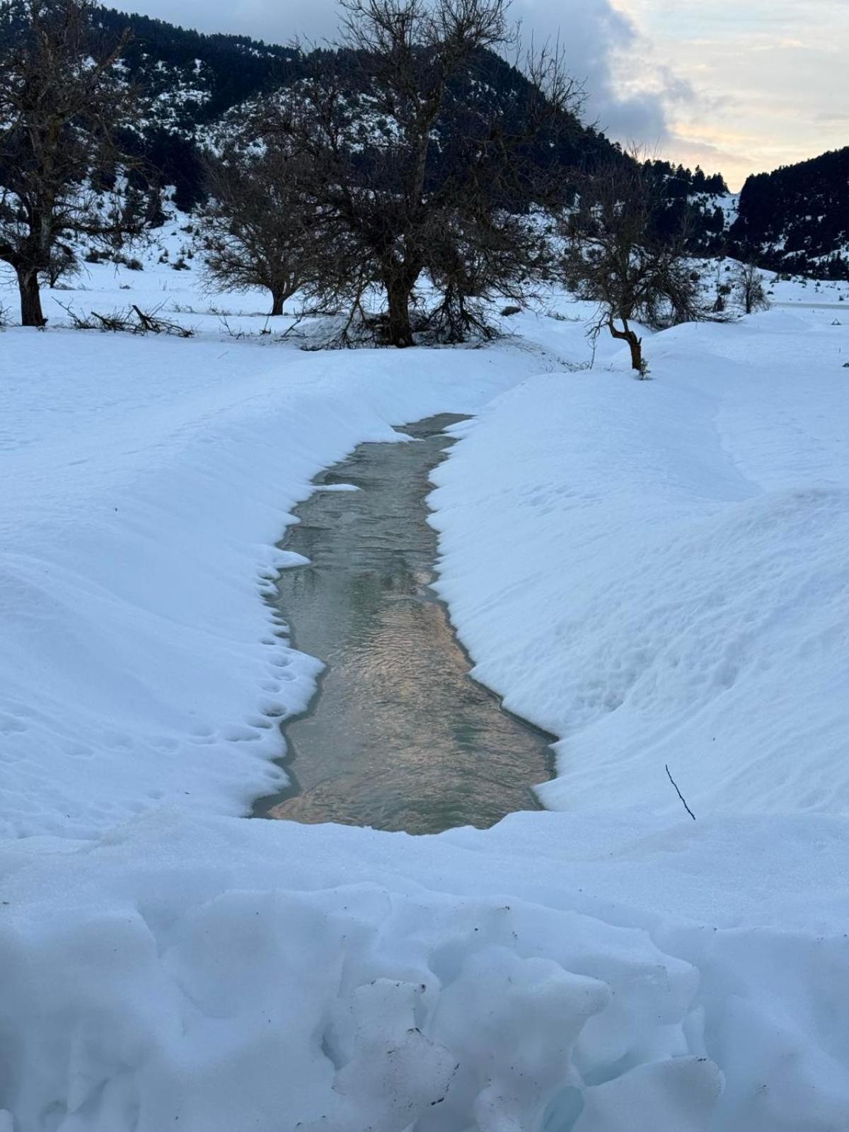 Ξενώνας Αγανίππη - Photo 79