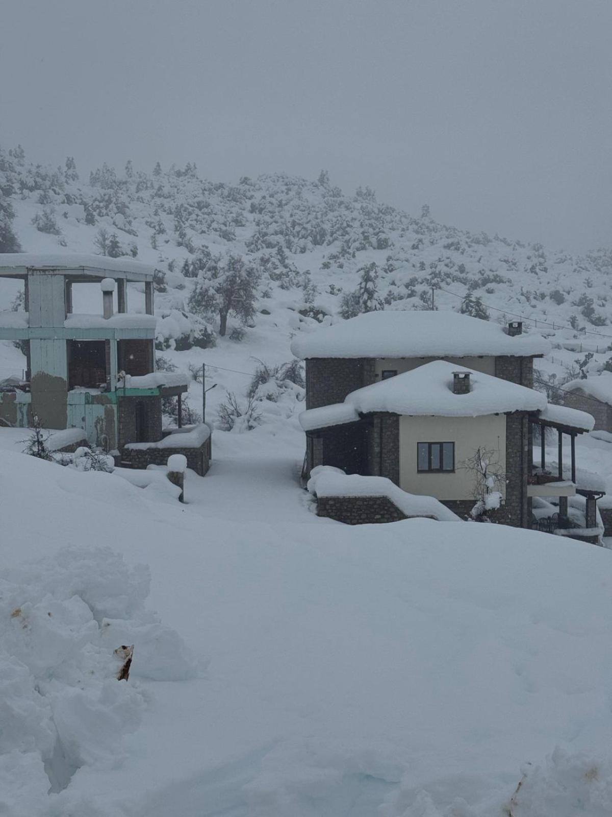 Ξενώνας Αγανίππη - Photo 78