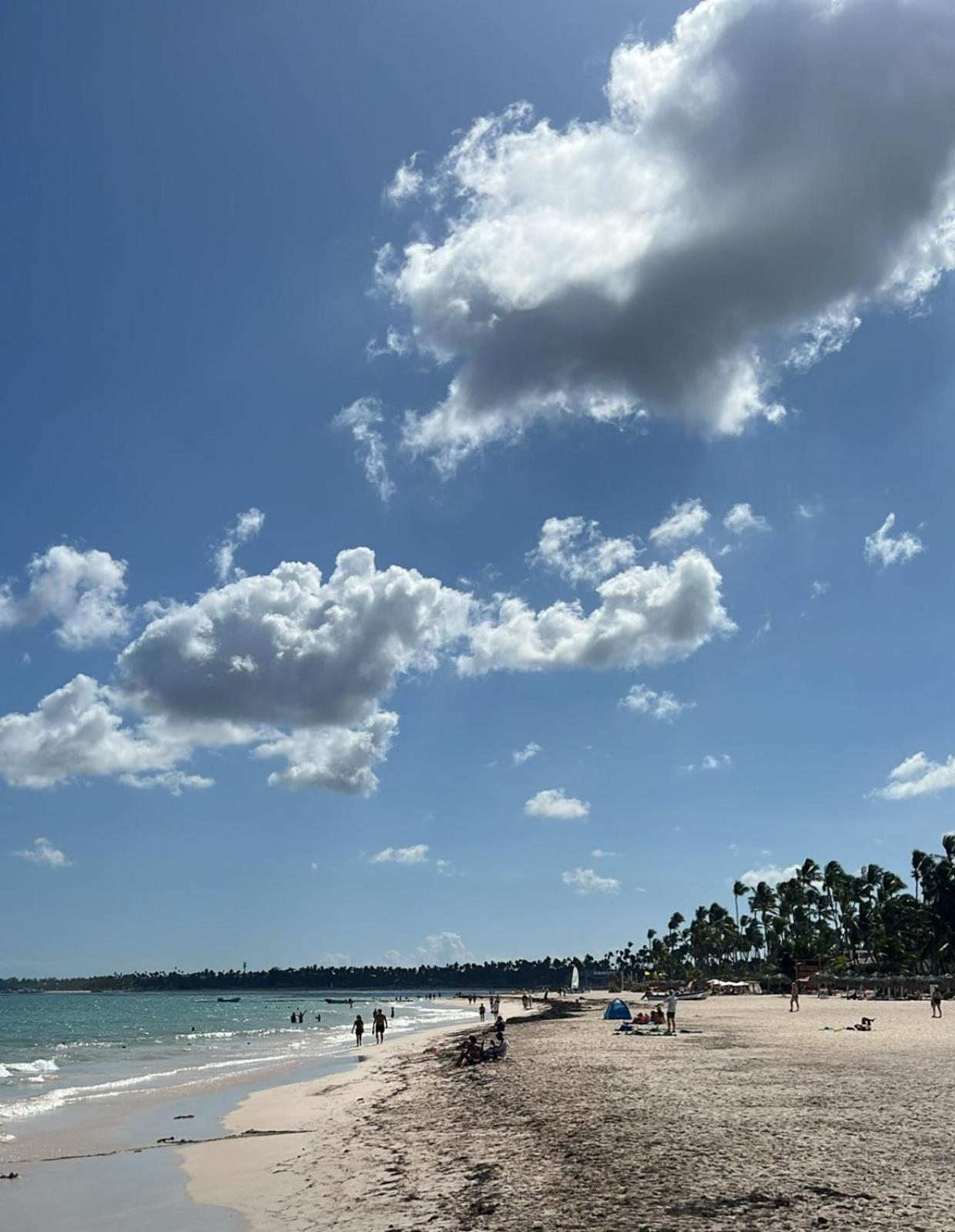 Puntacana Bavaro Apartamento - Photo 13