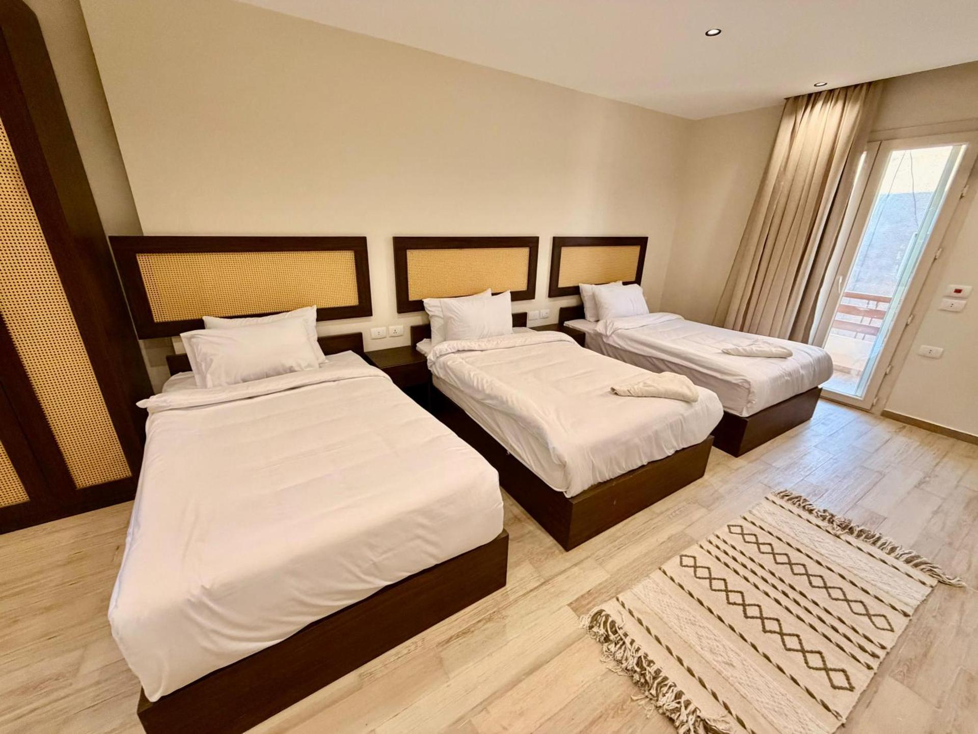 Solima Pyramids View - Photo 106