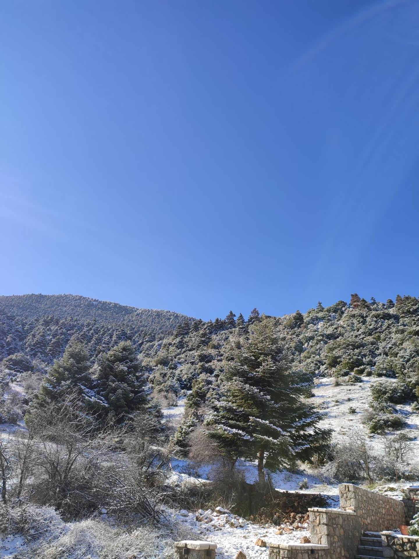 Ξενώνας Αγανίππη - Photo 87