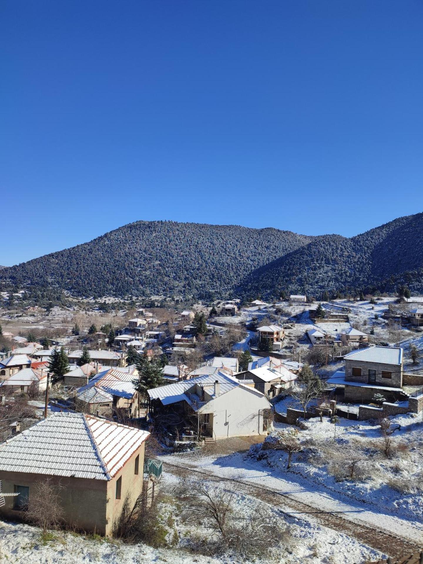 Ξενώνας Αγανίππη - Photo 86