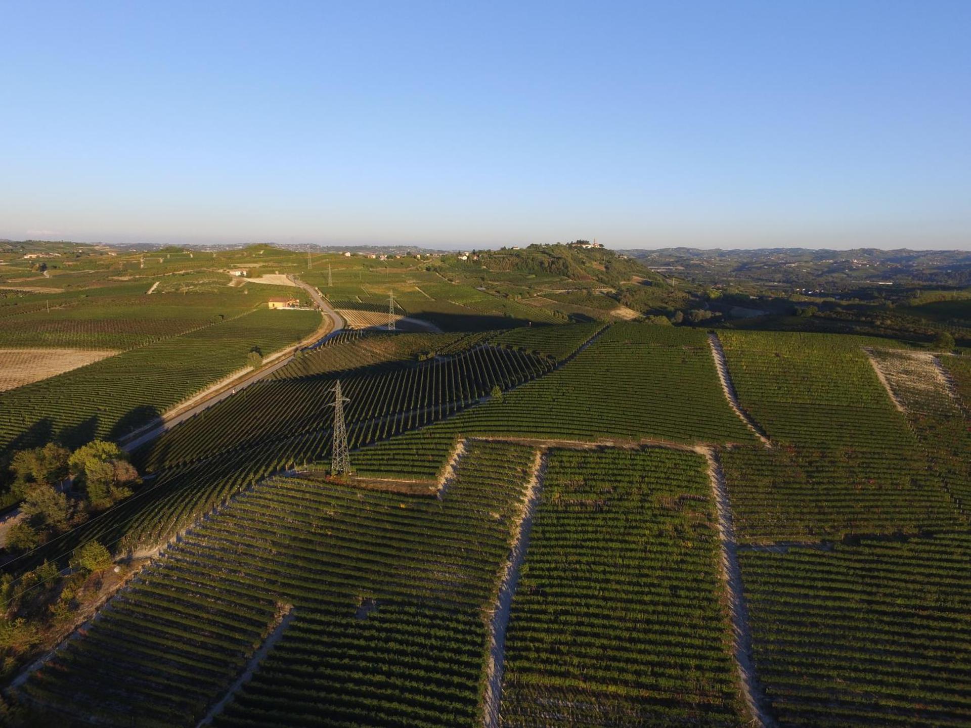 Mongalletto - Photo 26