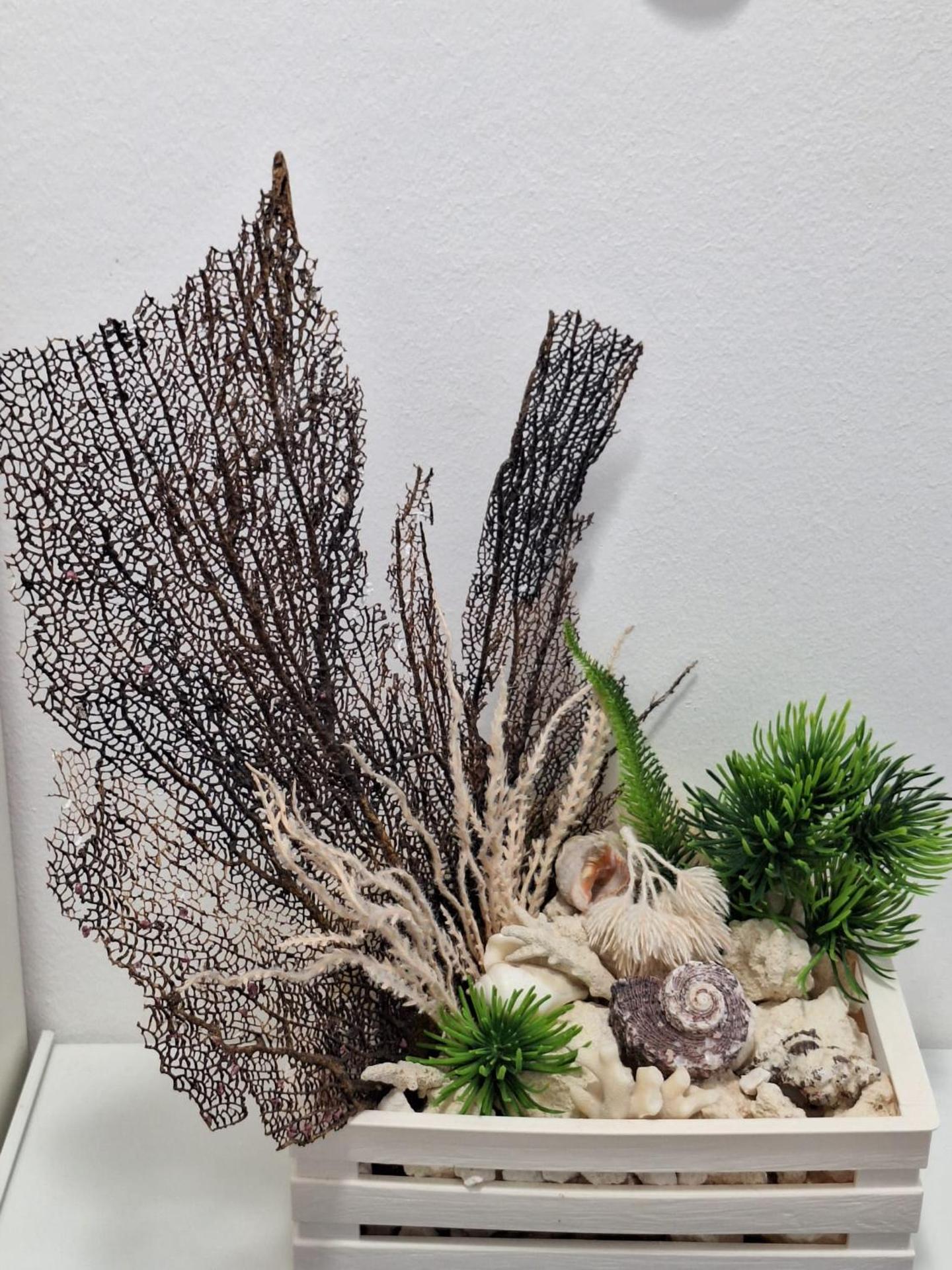 PASSION DEL CARIBE - CORAL VILLAGE 1 - modern and fully equipped apartments & suites in residence with pool and 24 hour security, close the beach, shops, bars, restaurants & entertainment - Photo 101