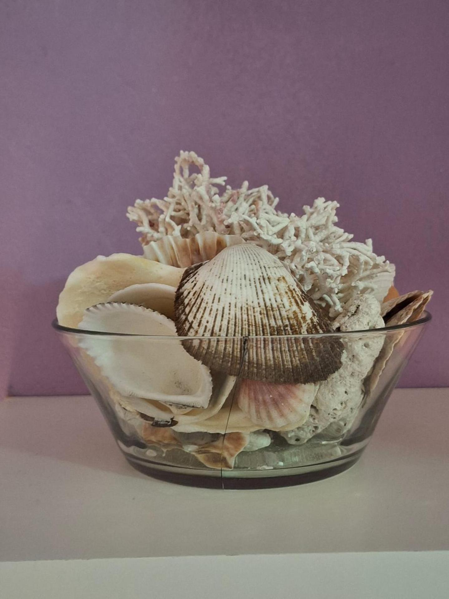 PASSION DEL CARIBE - CORAL VILLAGE 1 - modern and fully equipped apartments & suites in residence with pool and 24 hour security, close the beach, shops, bars, restaurants & entertainment - Photo 115