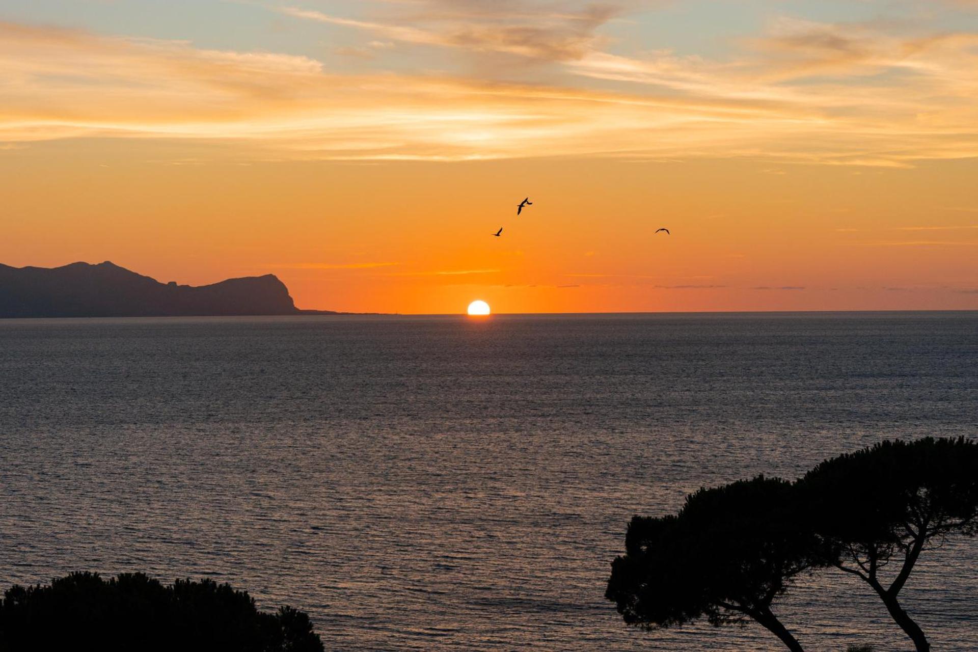 CDSHotels Terrasini - Città del Mare - Photo 32