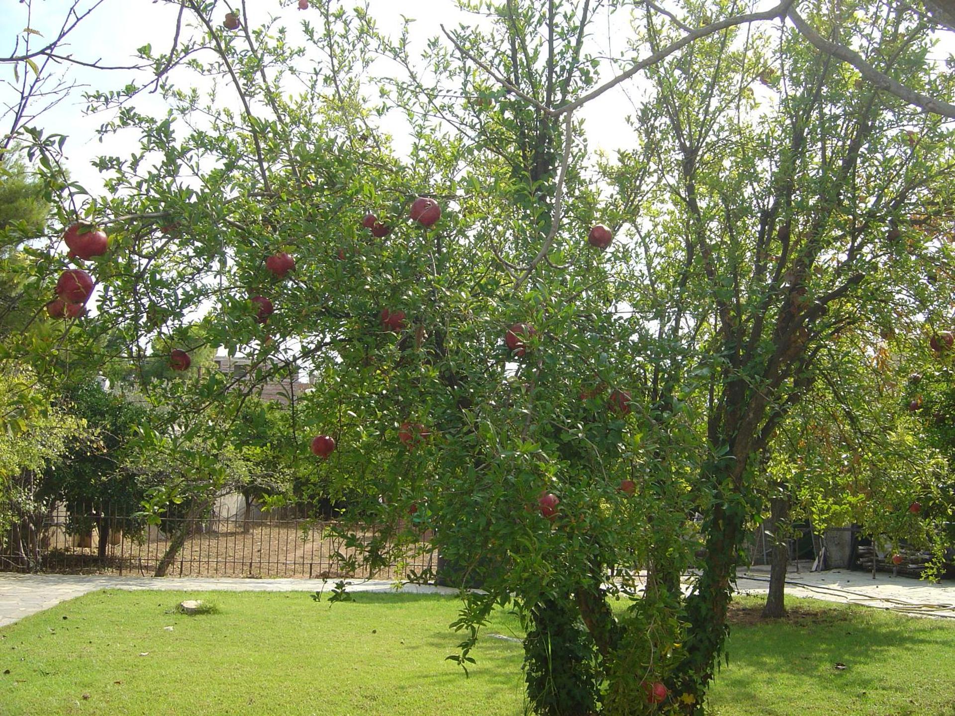 Castle By The Sea - Photo 153