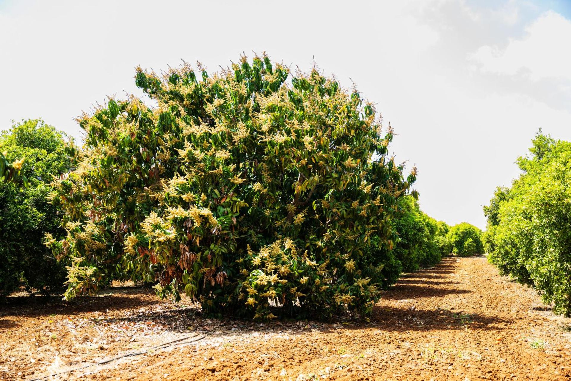 Azia Resort & Spa - Photo 126