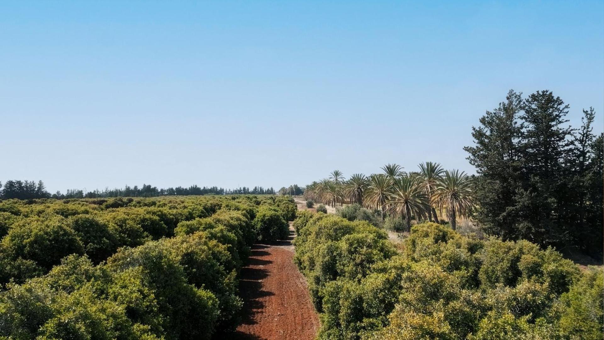 Azia Resort & Spa - Photo 128