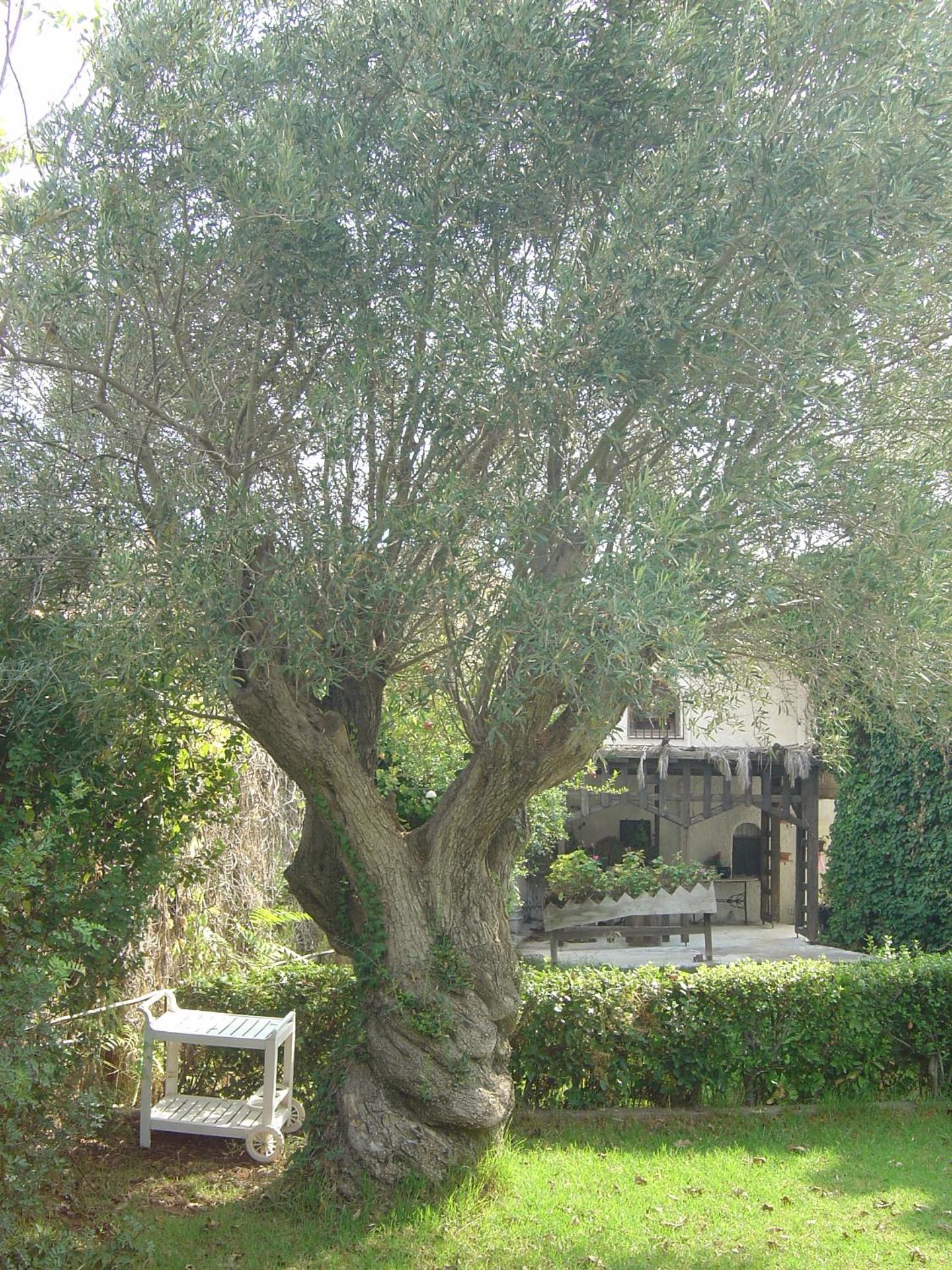 Castle By The Sea - Photo 133