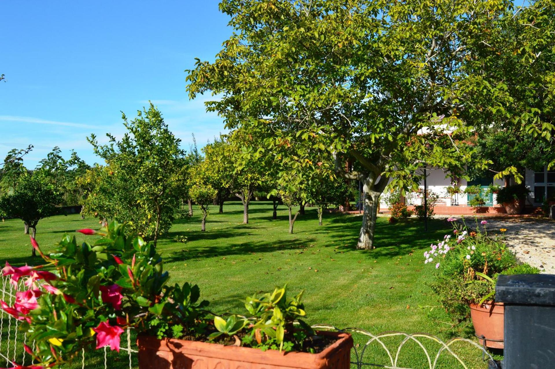 Villa Irene Pisticci-Matera - Photo 55