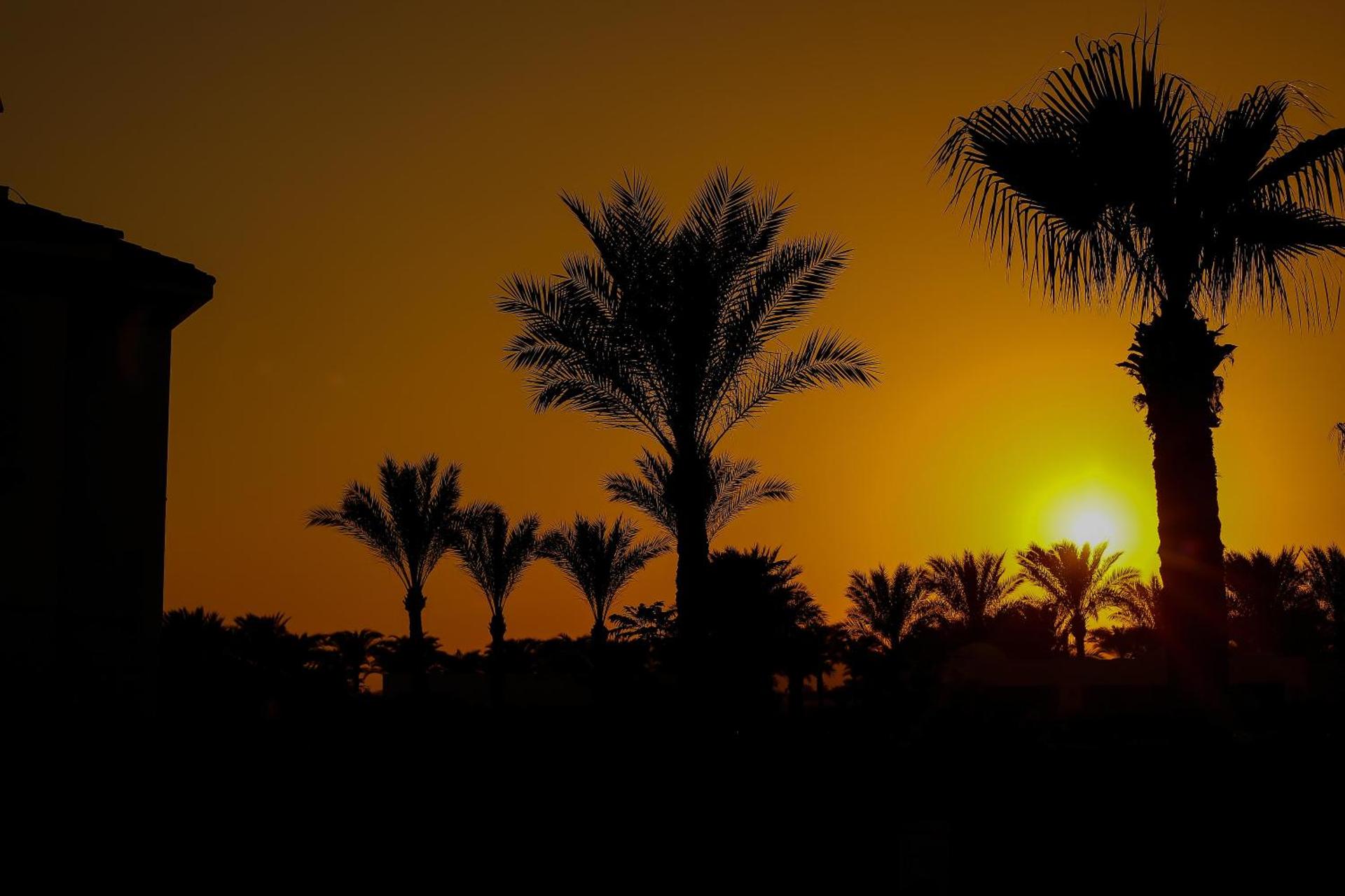 JAZ Fanara Resort - Photo 16