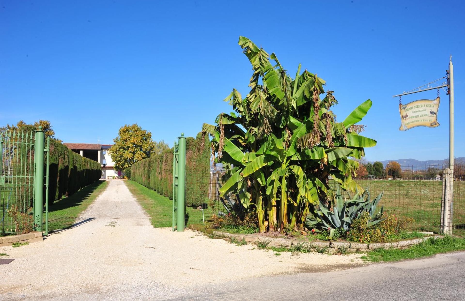 Agriturismo Corte Bonetti - Photo 16