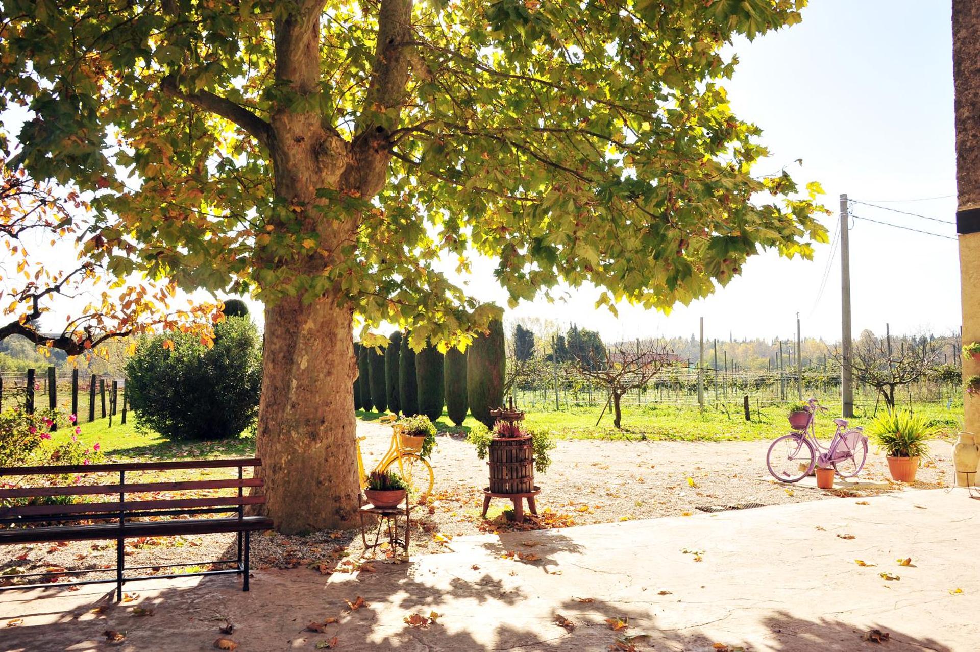 Agriturismo Corte Bonetti - Photo 8