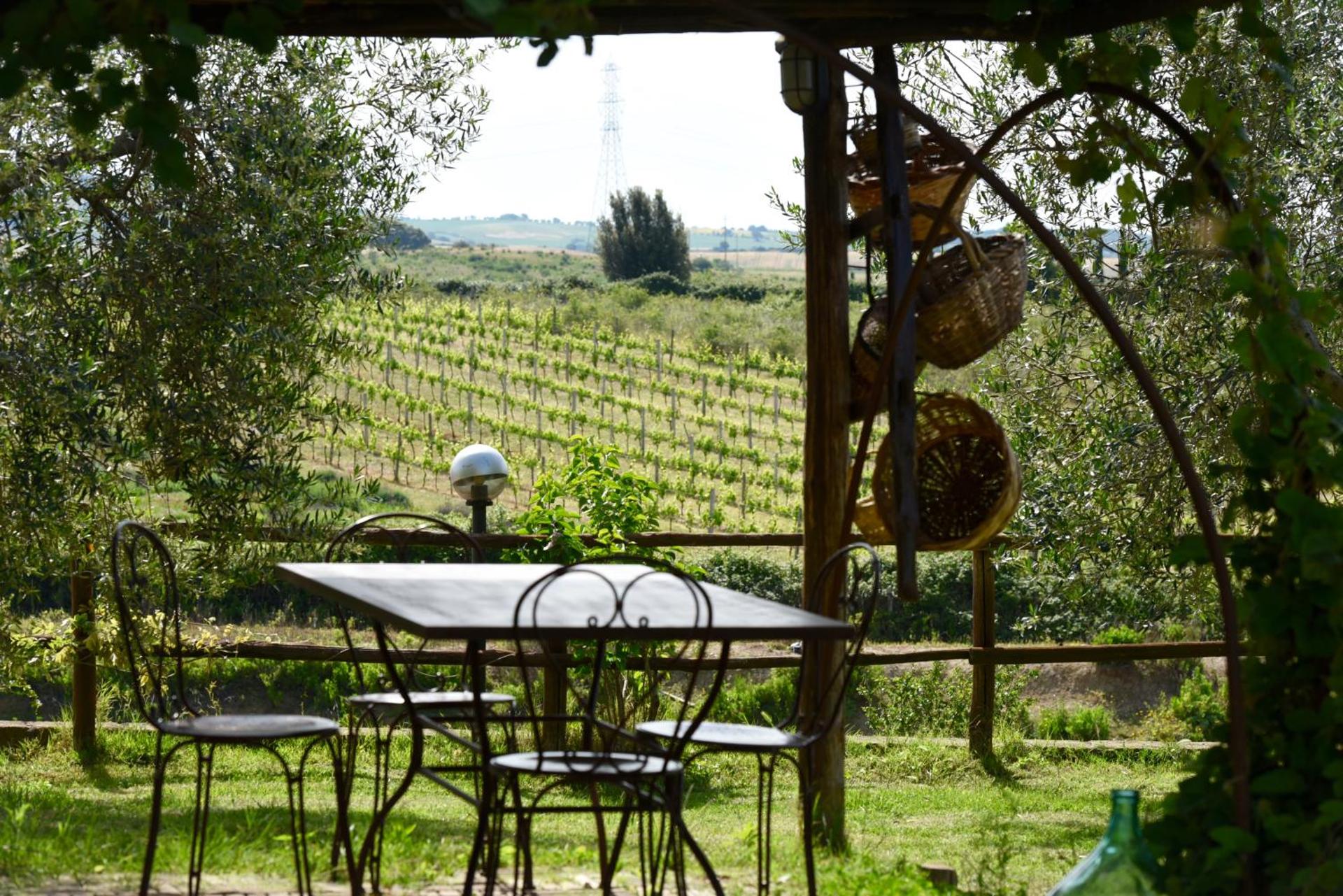 Agriturismo La Svolta - Photo 17
