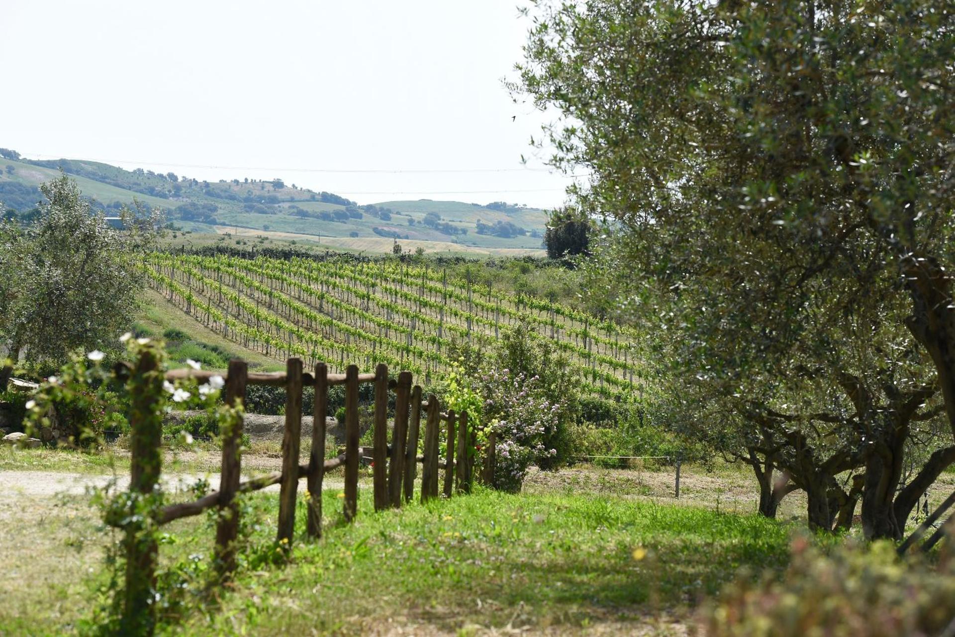 Agriturismo La Svolta - Photo 12