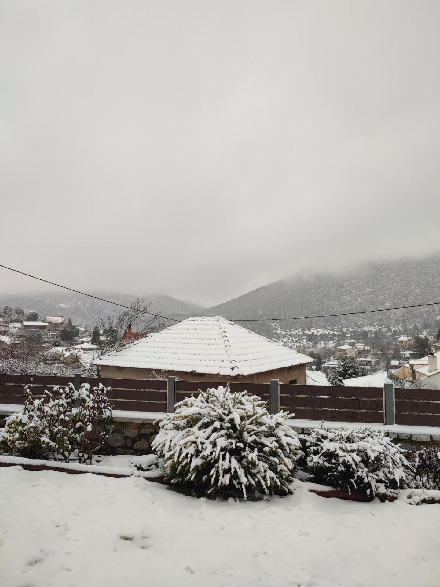 Ξενώνας Αγανίππη - Photo 93