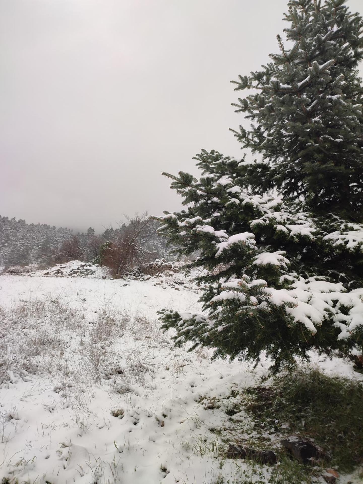 Ξενώνας Αγανίππη - Photo 94