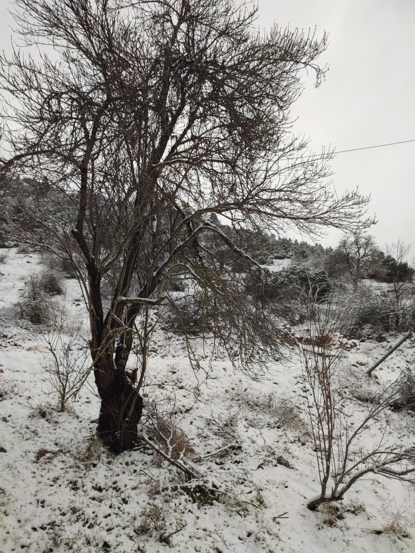 Ξενώνας Αγανίππη - Photo 95