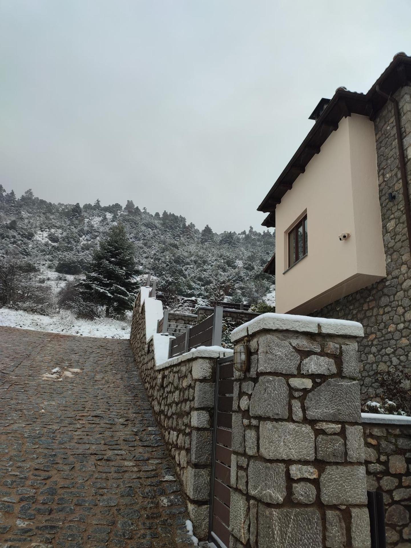 Ξενώνας Αγανίππη - Photo 96