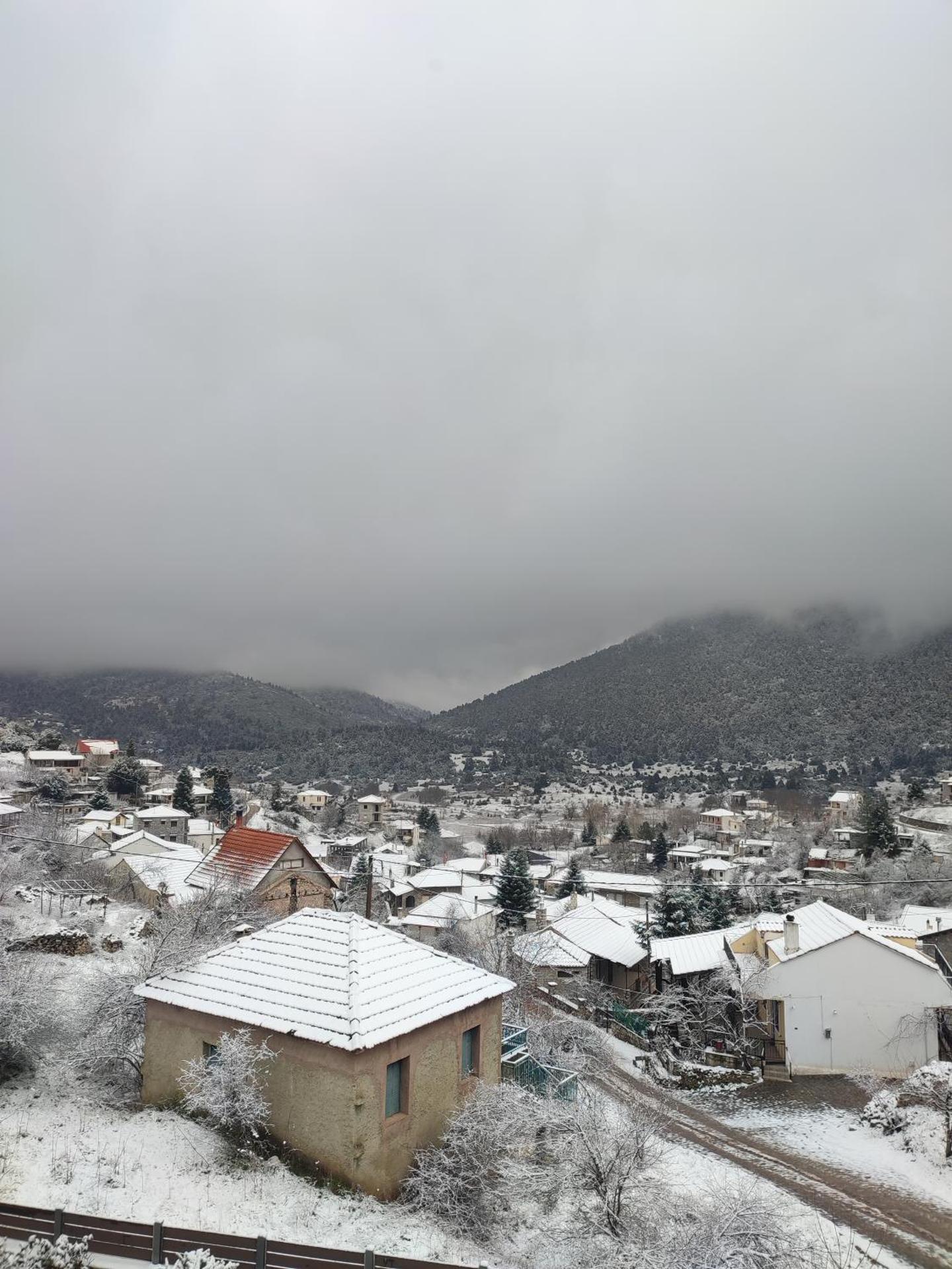 Ξενώνας Αγανίππη - Photo 98