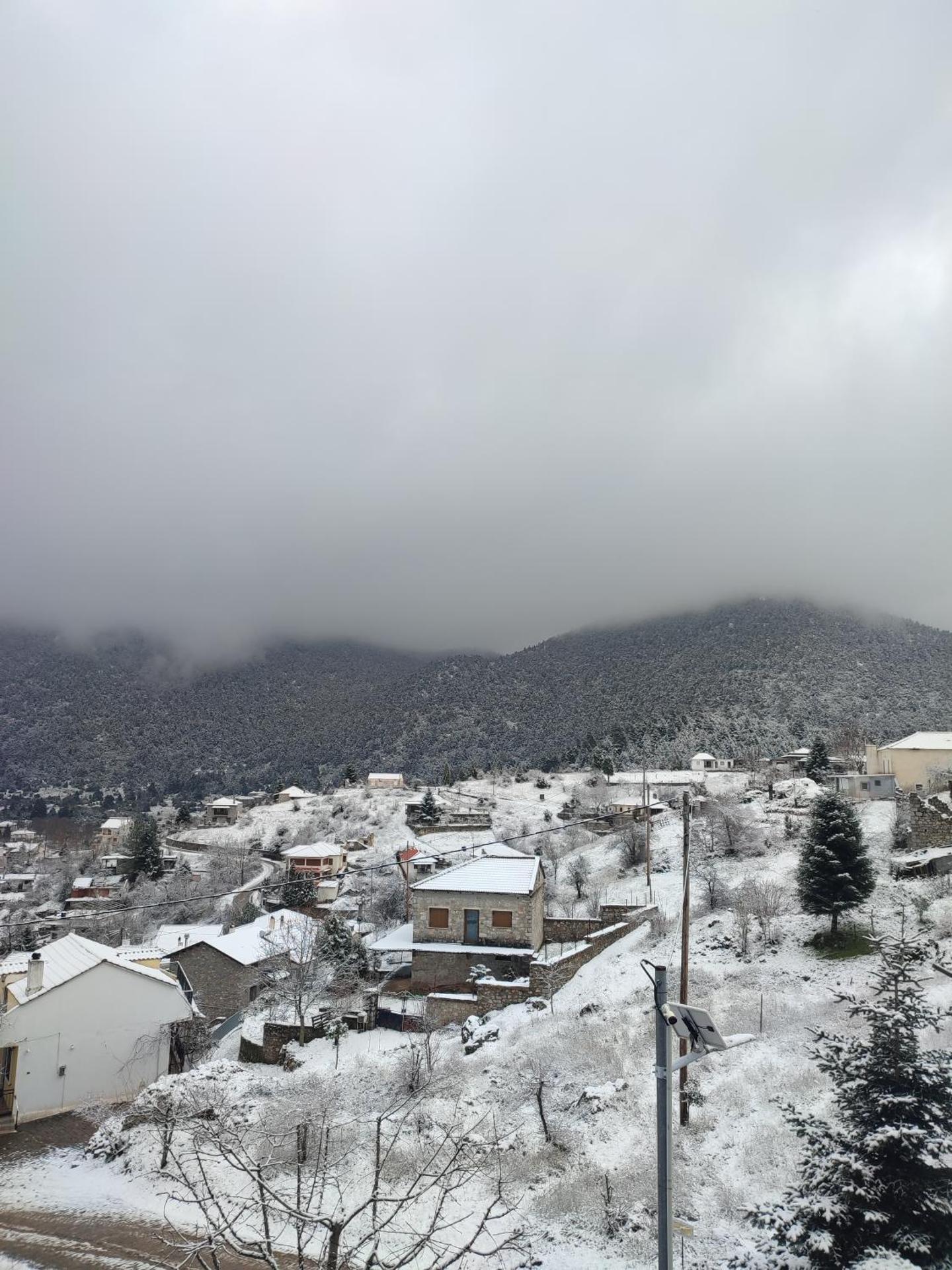 Ξενώνας Αγανίππη - Photo 99